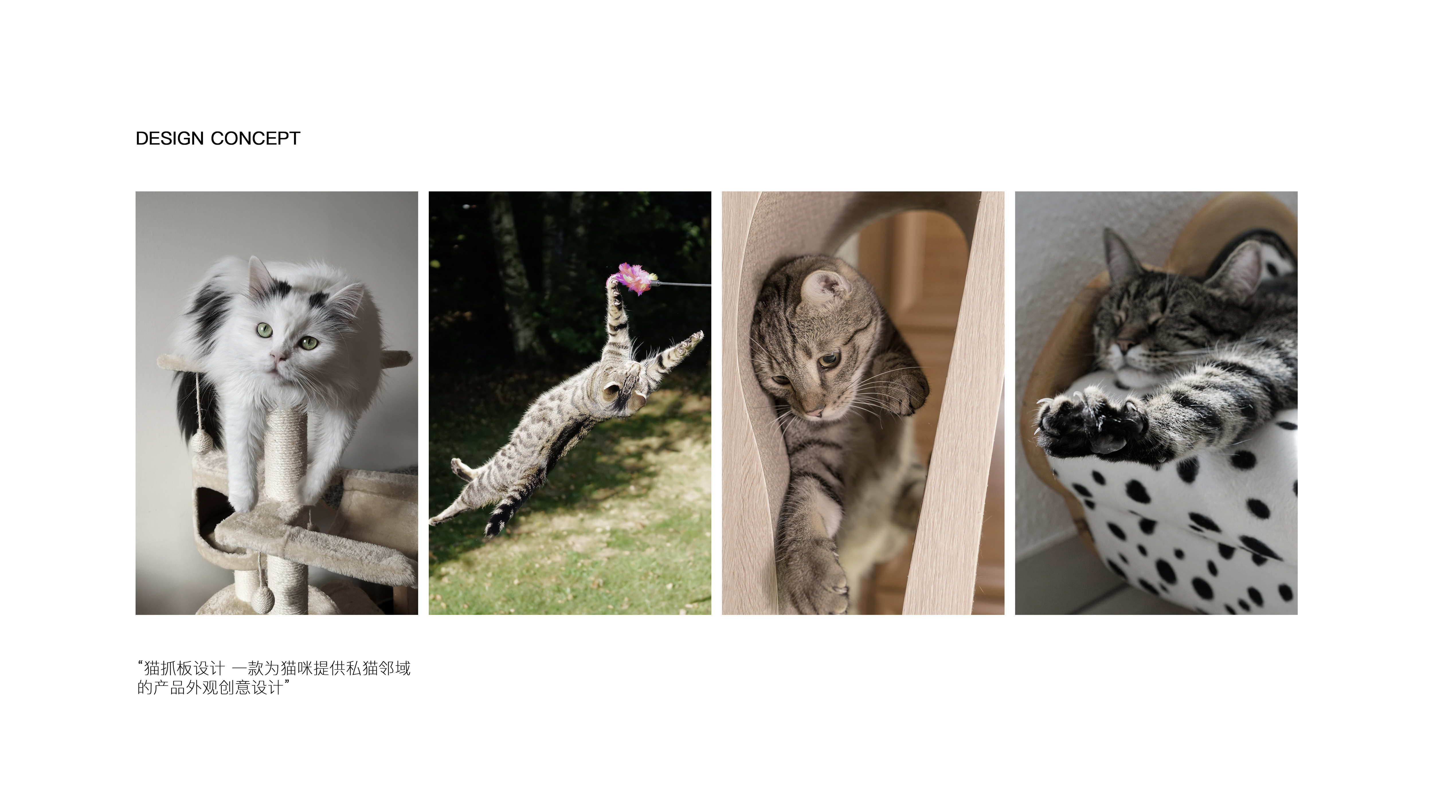 product design，industrial design，Pets，cat，Cat scratch board，original，keyshot，Render，