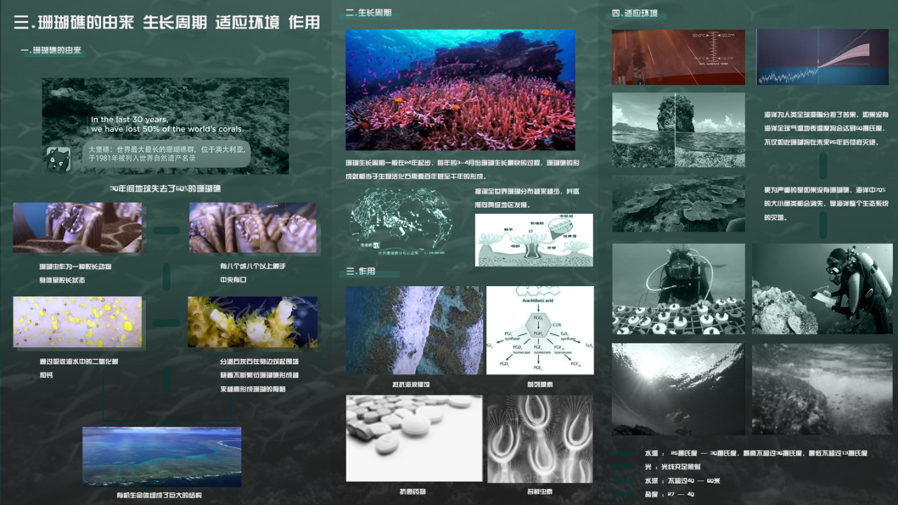 vr，Educational products，United Nations Protection of the Marine Environment，electronic product，