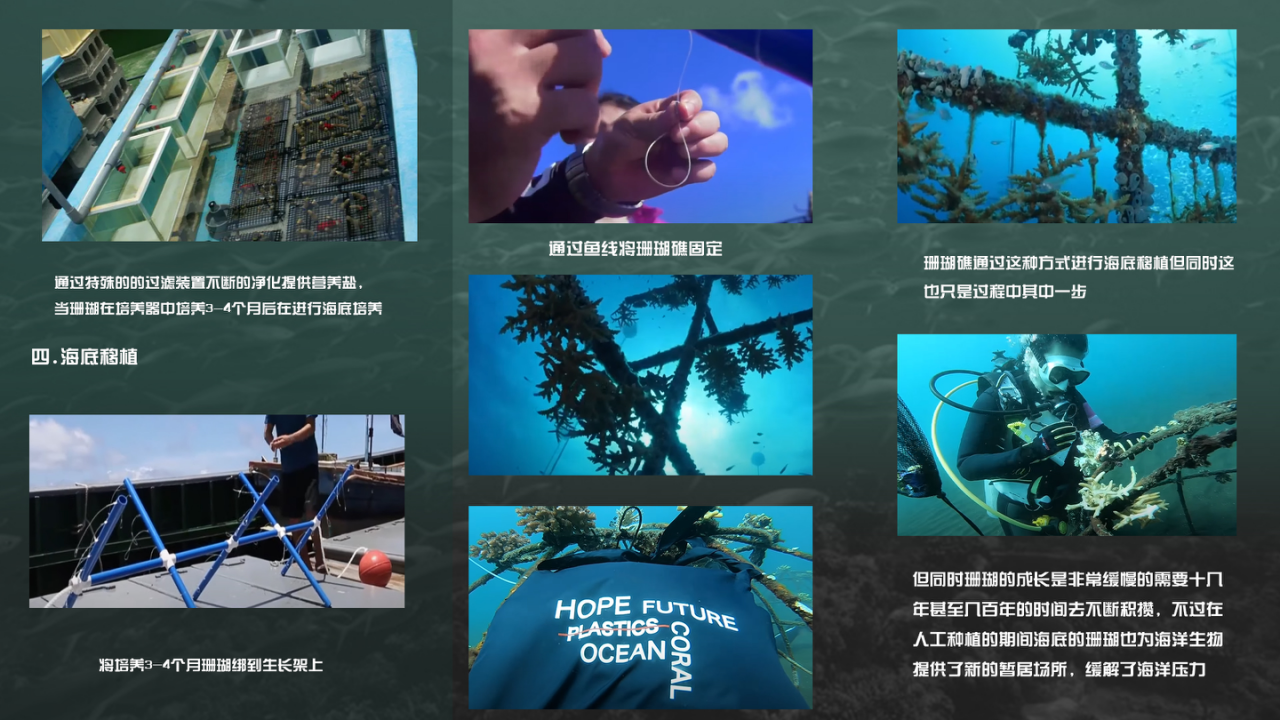 vr，Educational products，United Nations Protection of the Marine Environment，electronic product，
