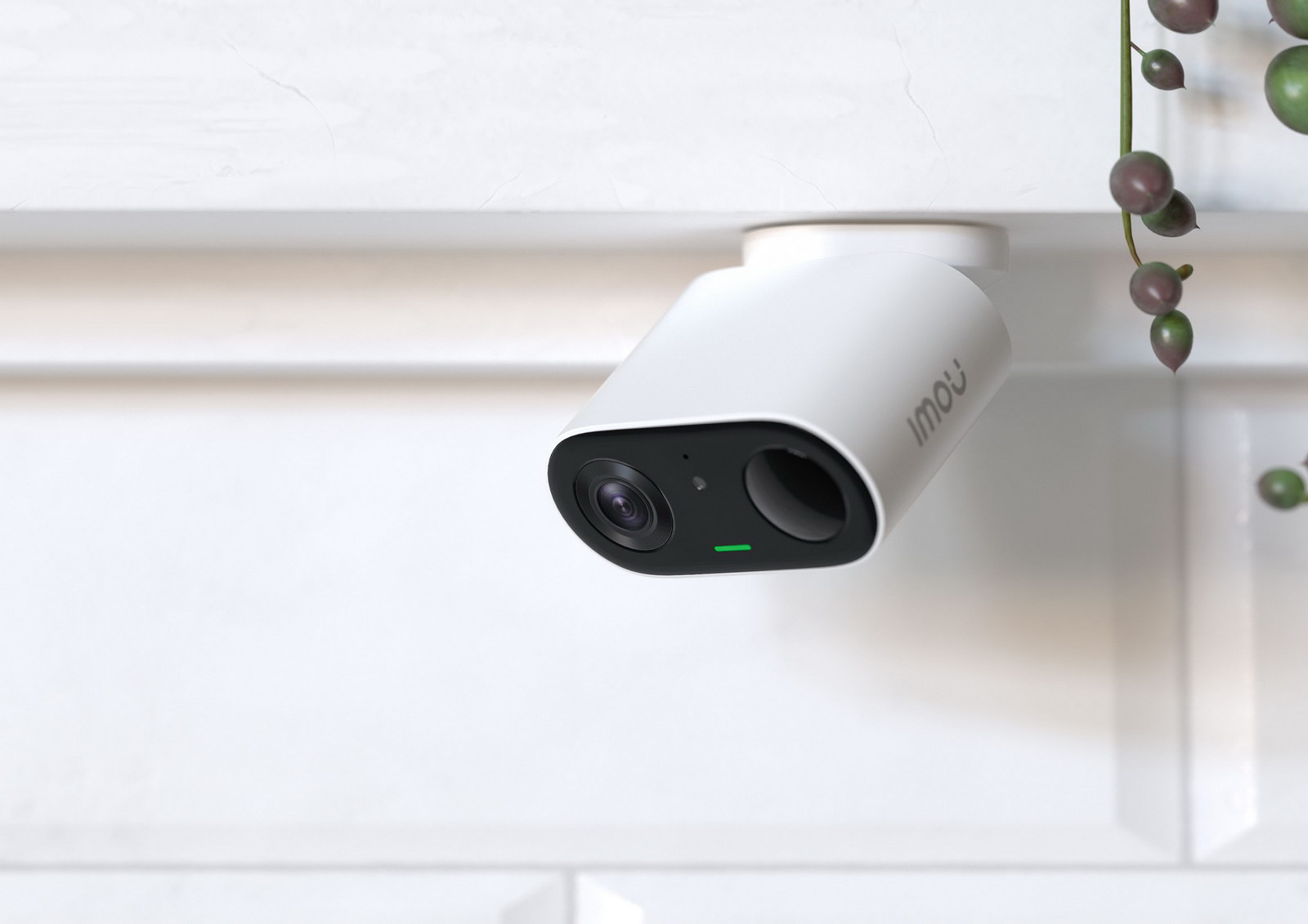 Camera and camera equipment，Contemporary good design award，