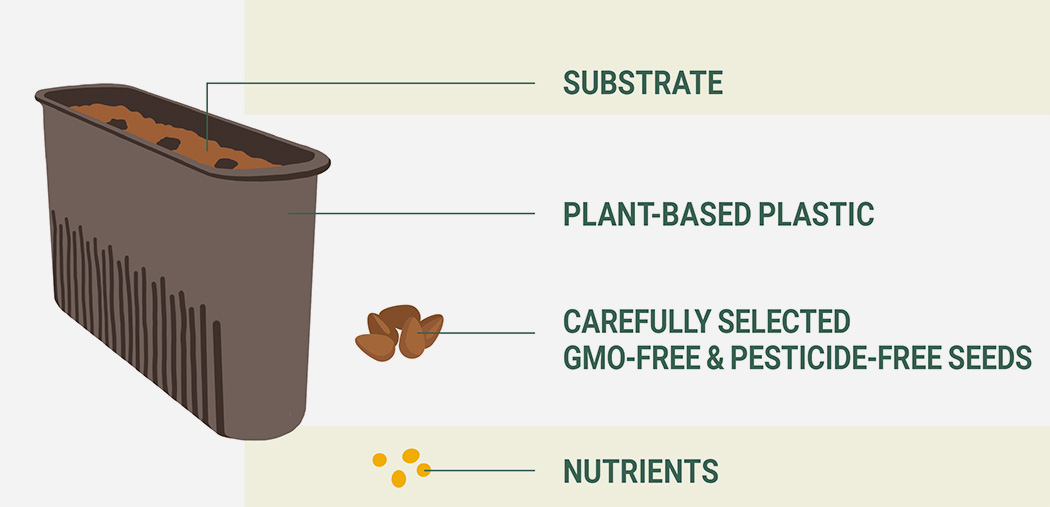 Nano Garden，Potted plants，Flowerpot design，Flowerpot，