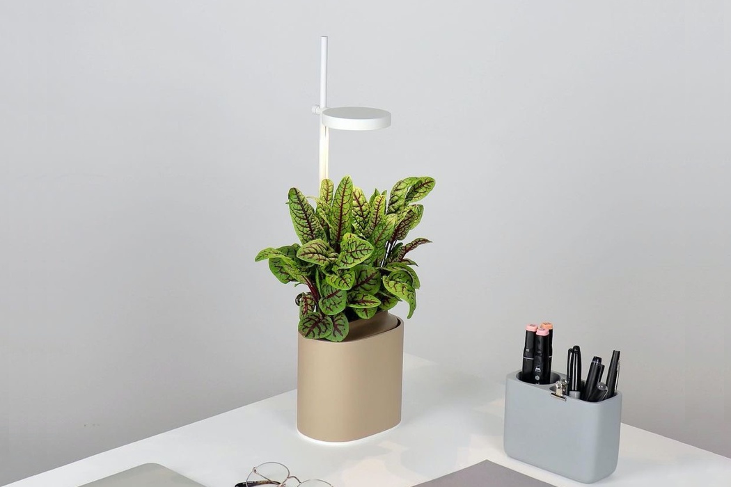 Nano Garden，Potted plants，Flowerpot design，Flowerpot，