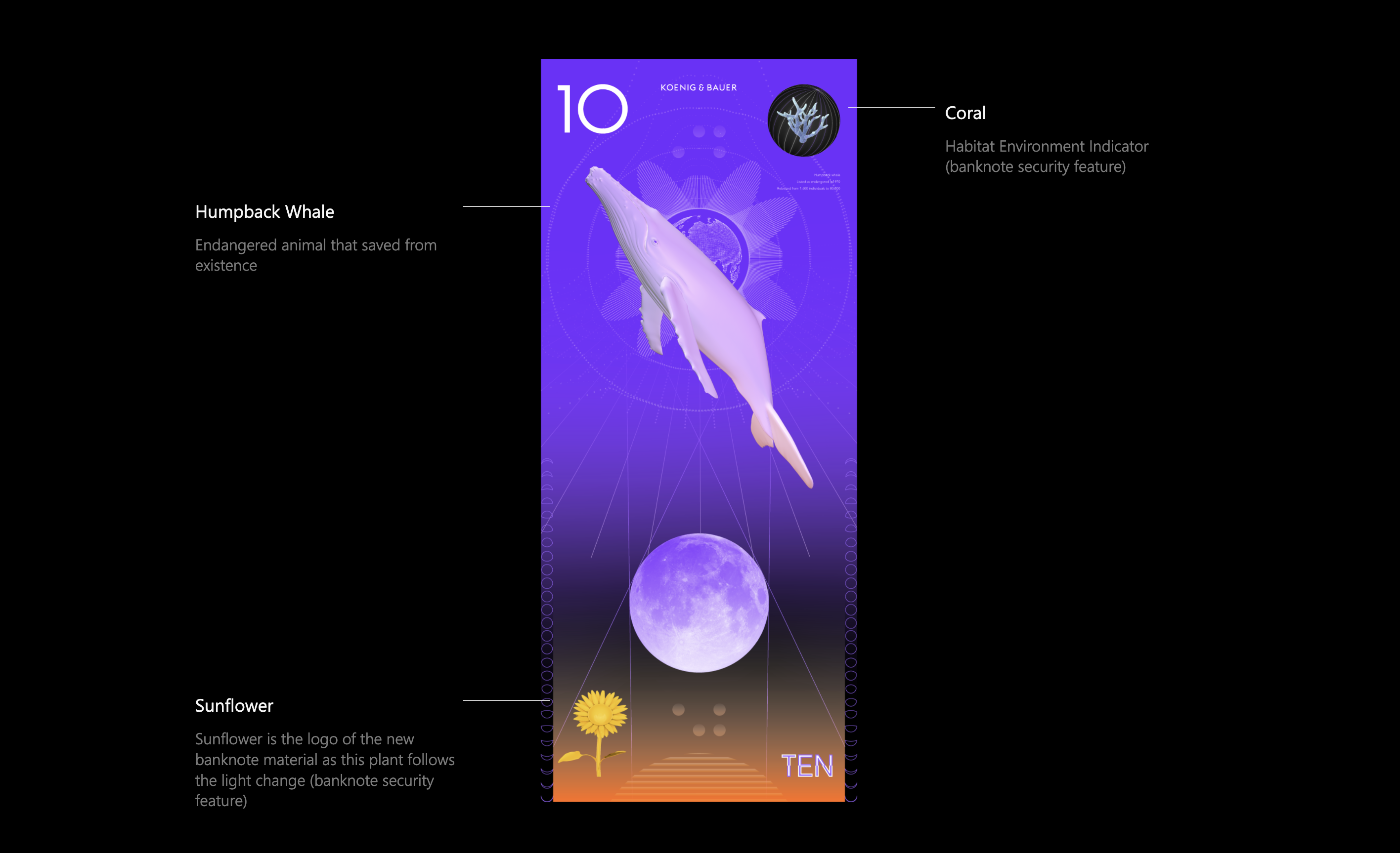 product，Currency，Sustainability，ux，