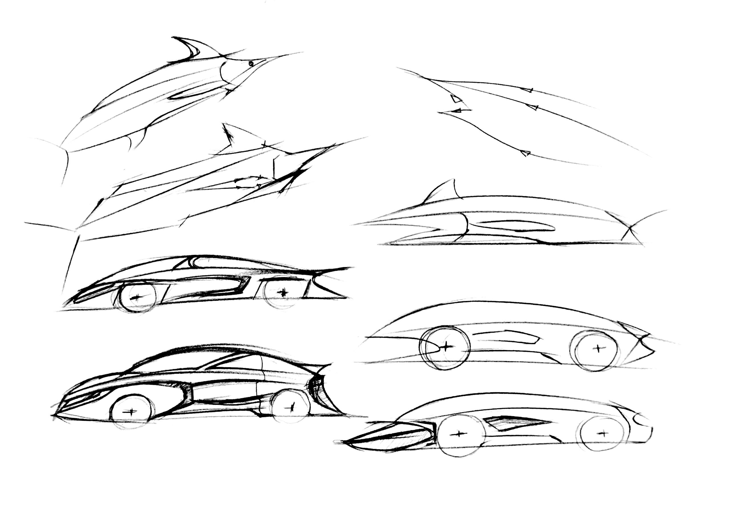 2d rendering, jmys workshop，