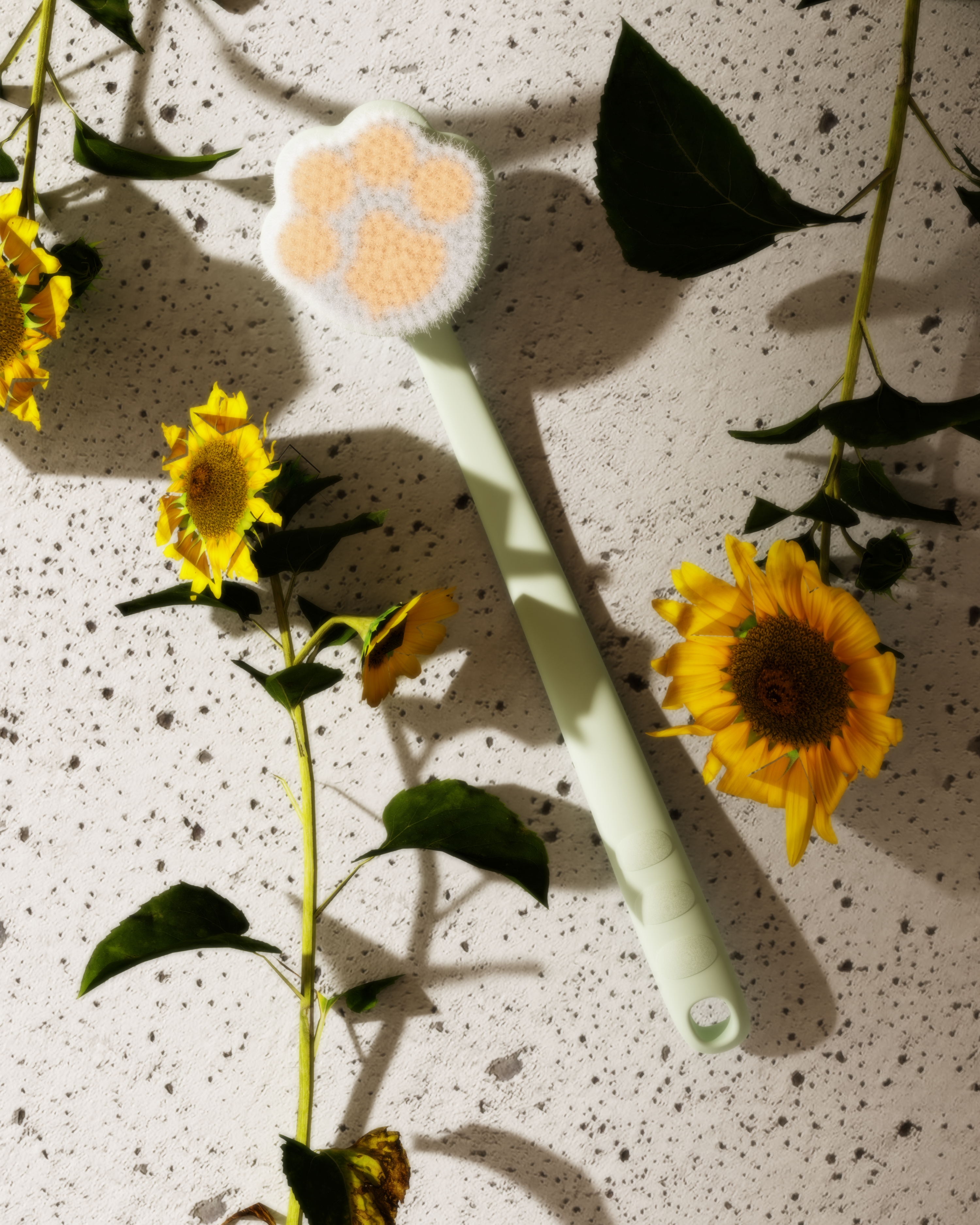 Daily Necessities，Bath brush，Cat claw，