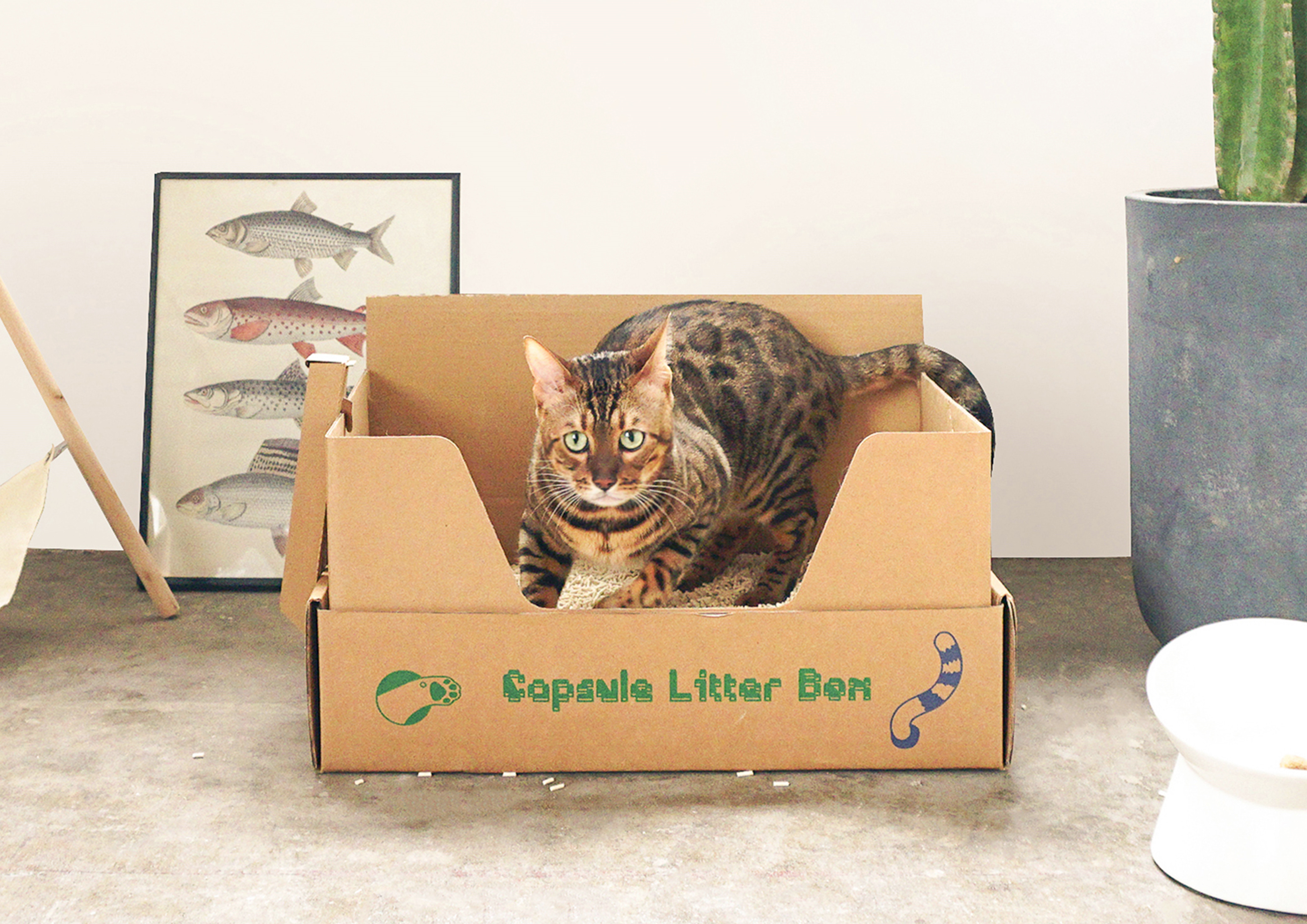 Hobbies and leisure，Contemporary good design award，