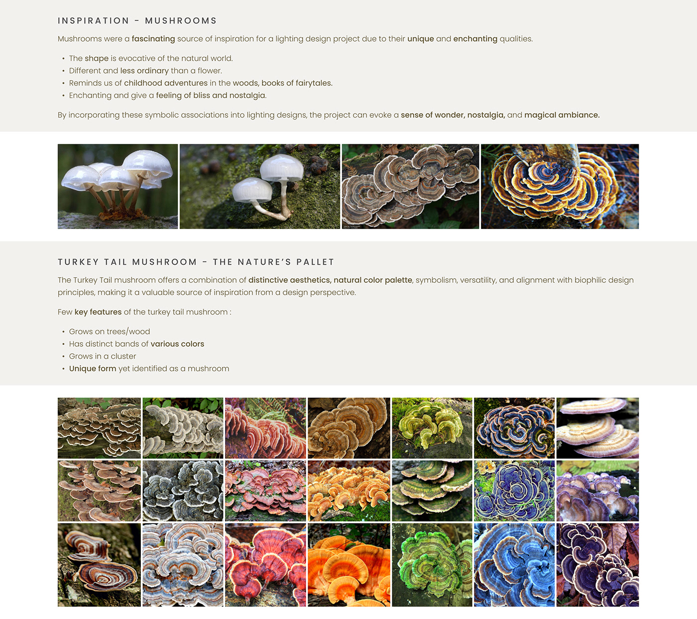 Kiinoko，Lamp design，