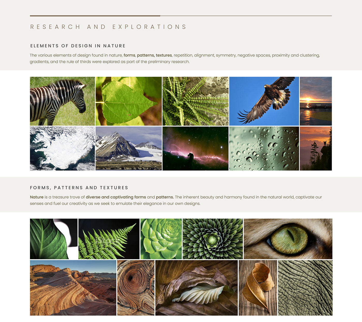 Kiinoko，Lamp design，