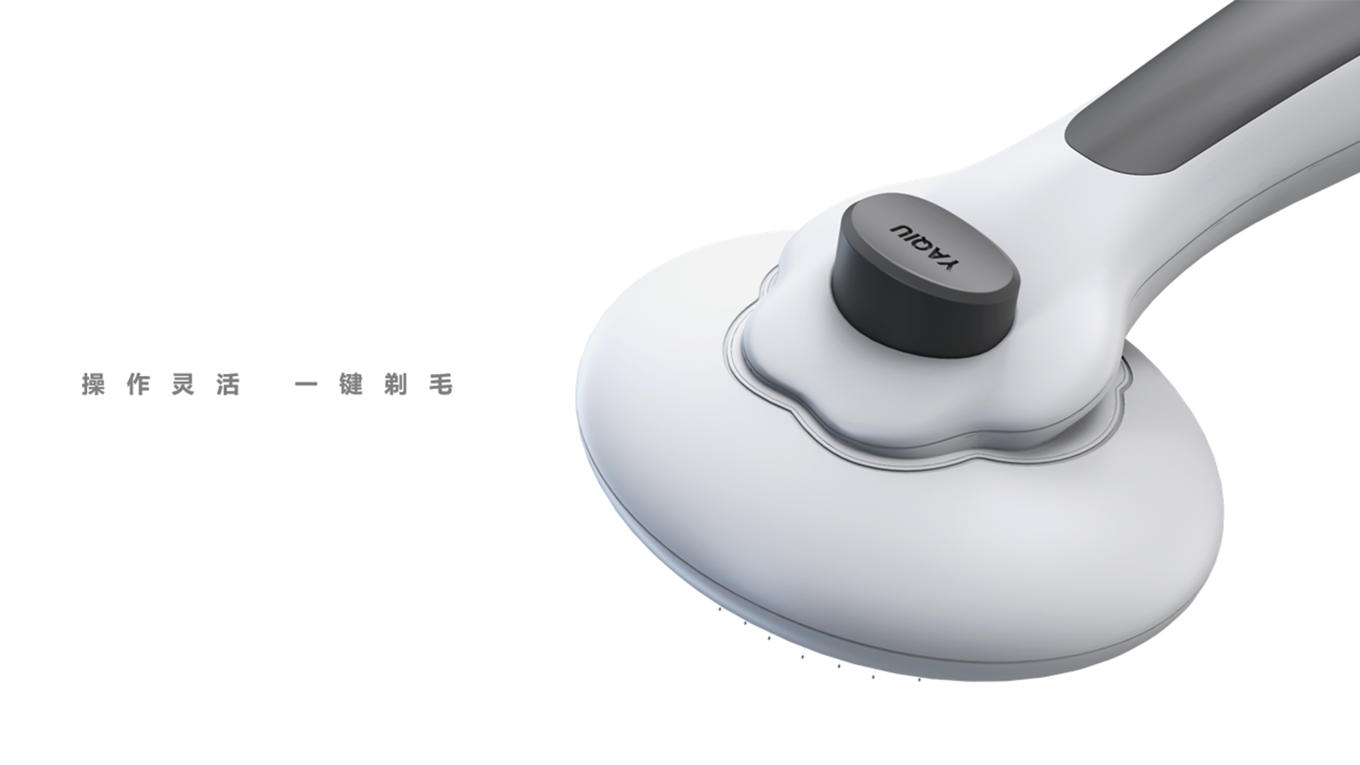 Fashion consumption，Pet Supplies & Pet，