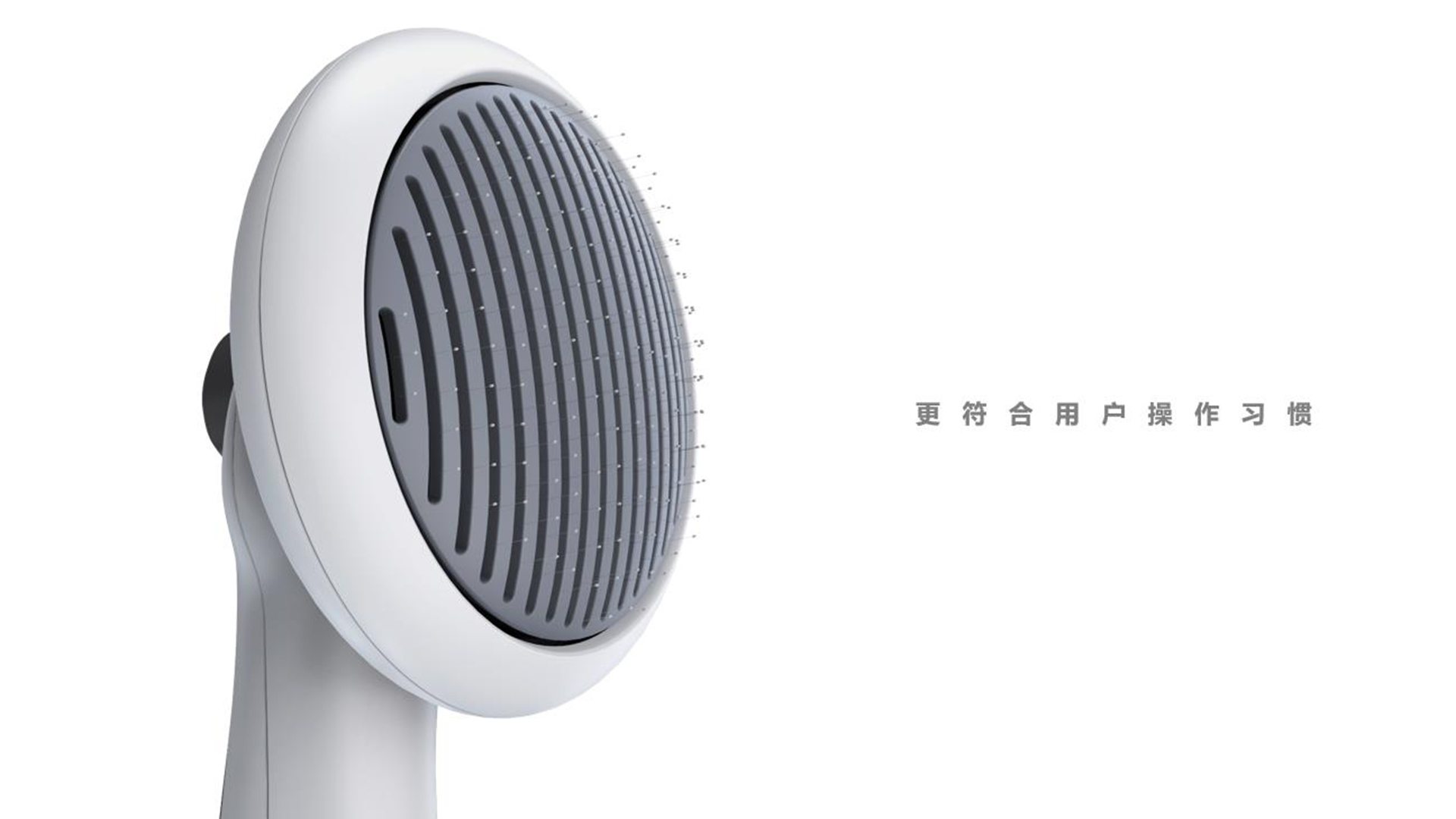 Fashion consumption，Pet Supplies & Pet，