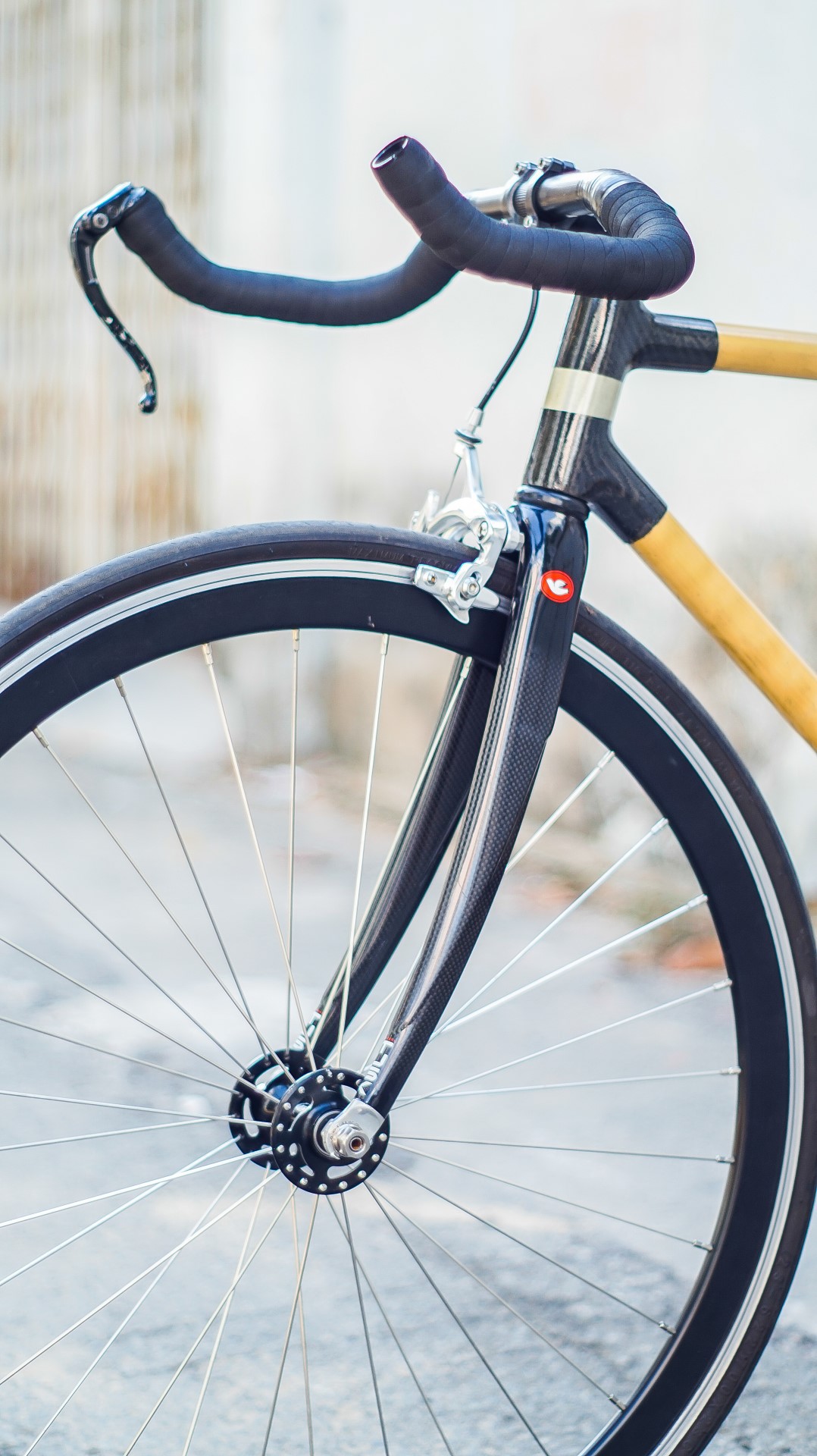 Bamboo，Bicycle，VOOC，handicraft，Vietnam，