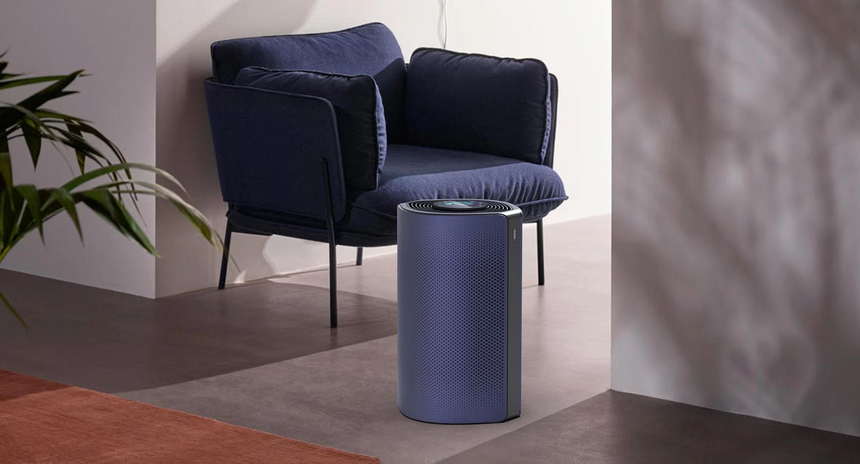 Purification, European and American wind, differentiation，