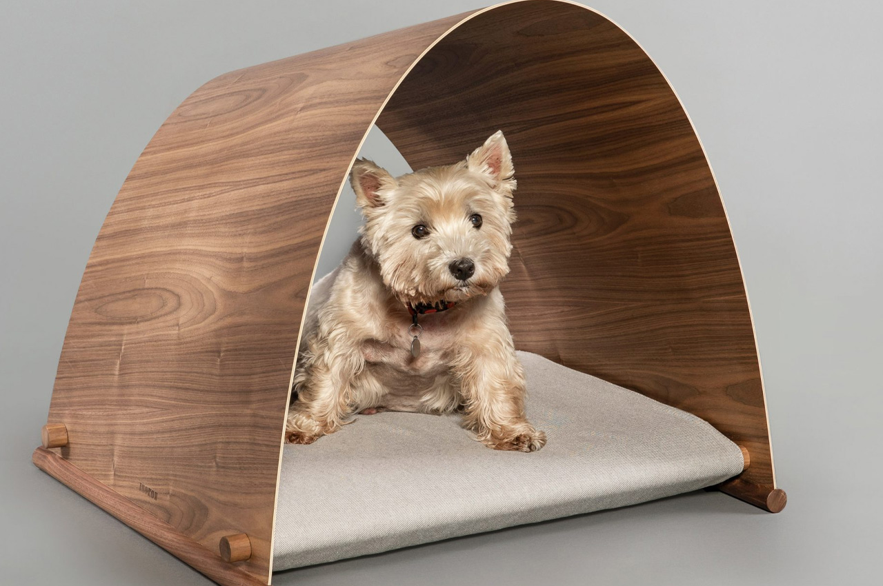 kennel，kennel，FOSTER PARTNERS，Barc，