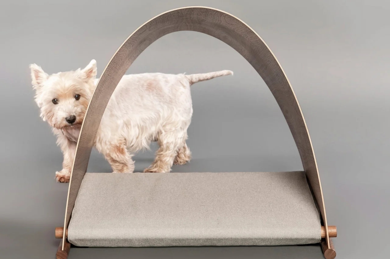 kennel，kennel，FOSTER PARTNERS，Barc，