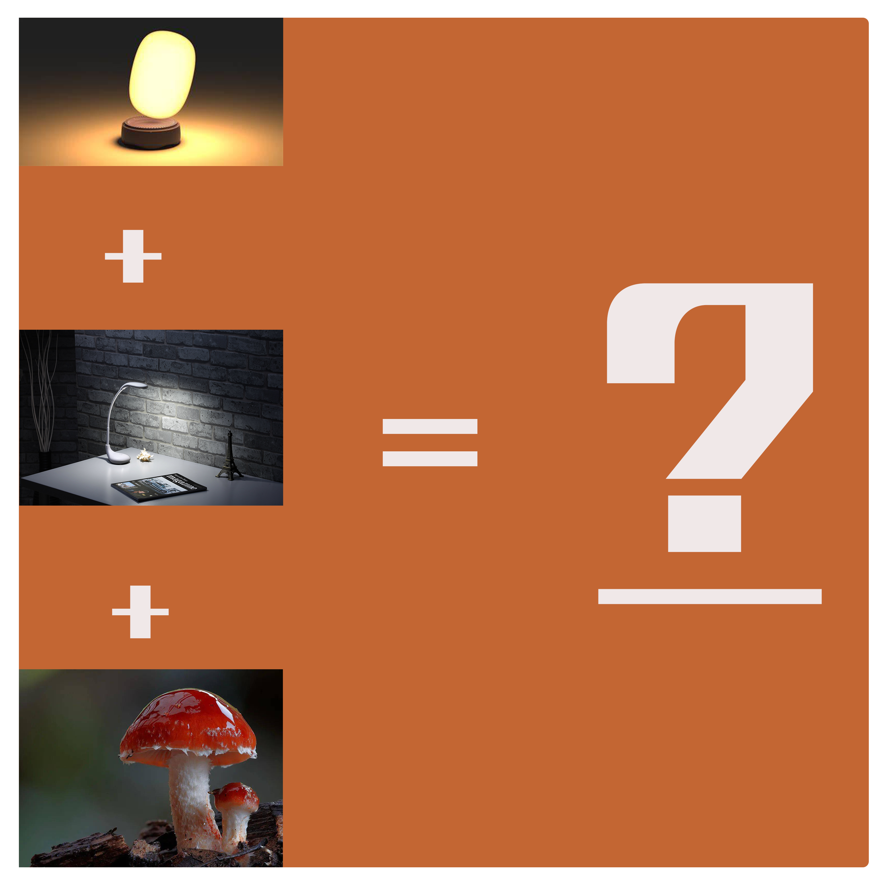 sample reels，curriculum design，