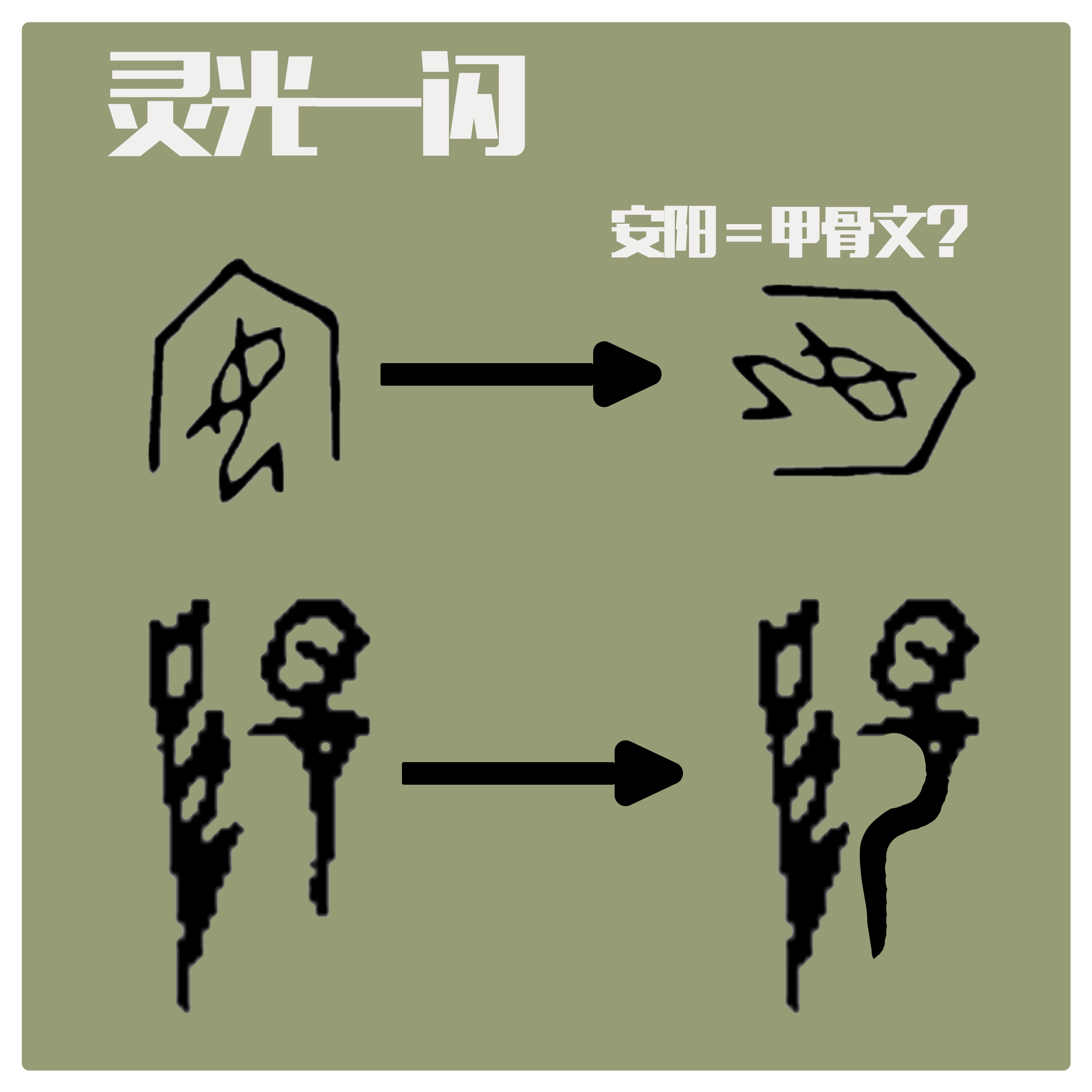 sample reels，curriculum design，