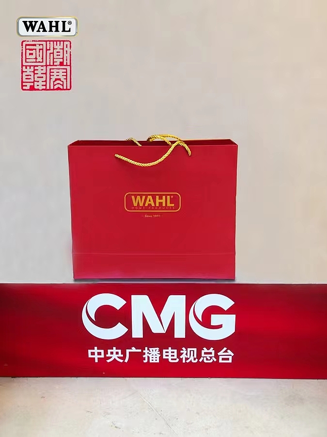 电吹风，国潮，定制，吹风机，央视，Wahl，