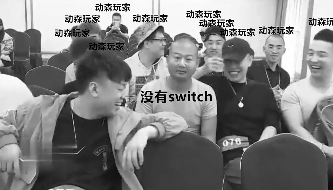 Animal Crossing，Nintendo Switch，Game handle，IP，E-sports accessories，Cartoon cute，West Shihui，