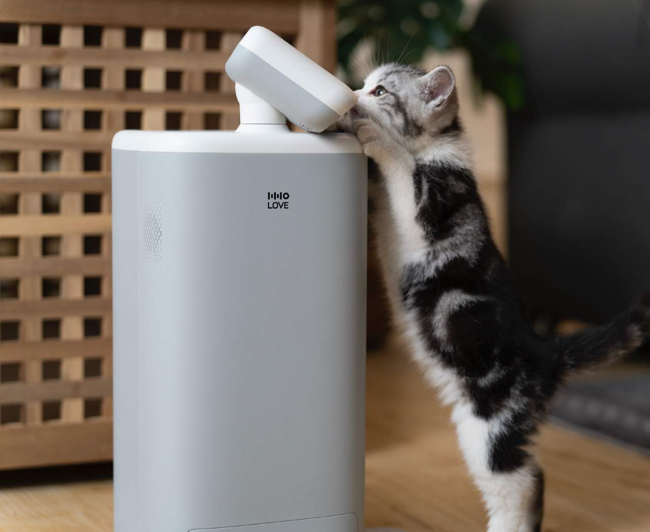 Smart AIOT，Pet robot，