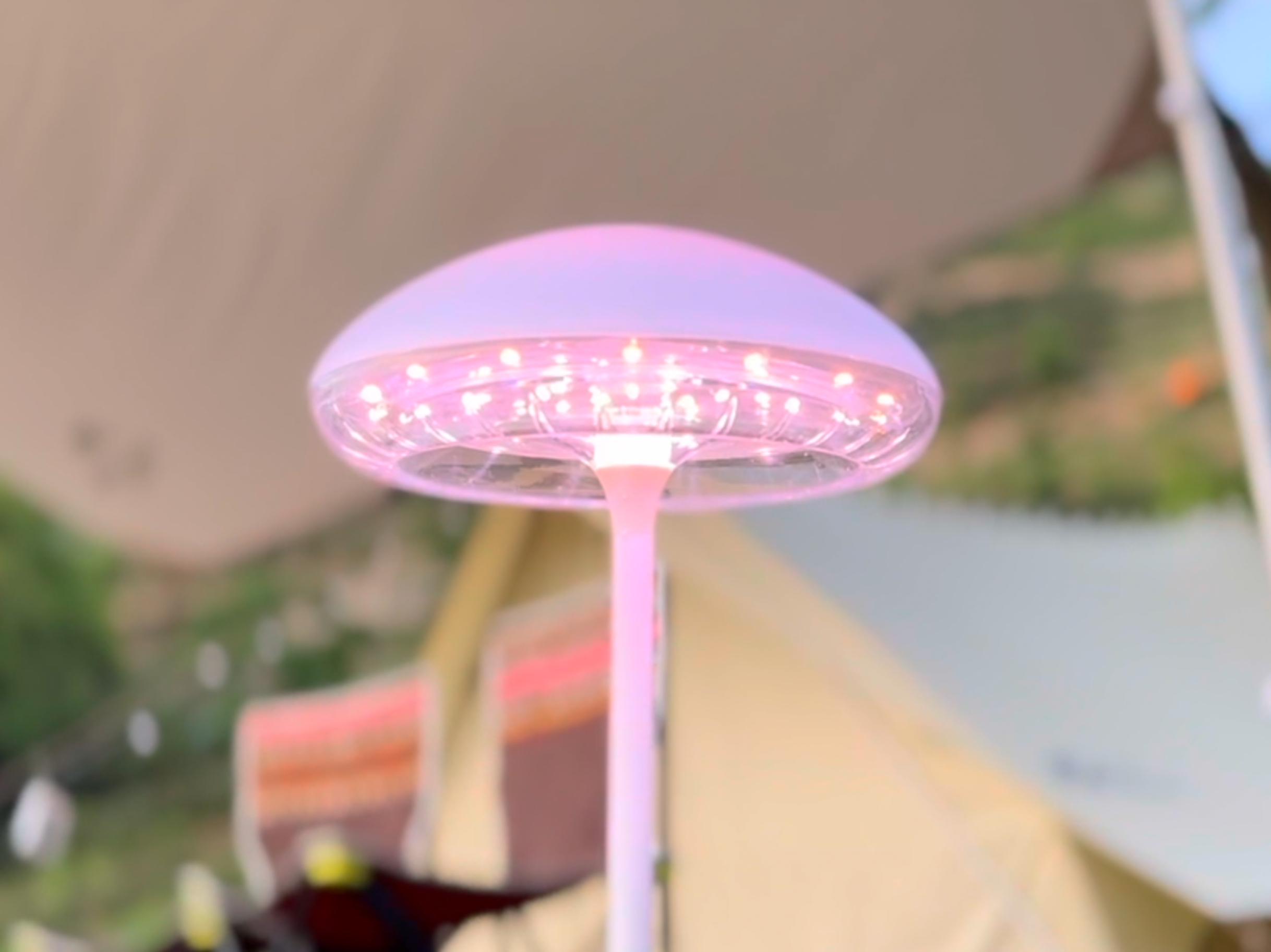 Plant growth lamp，outdoor light，camping，atmosphere，indoor，lighting，Home，jellyfish，
