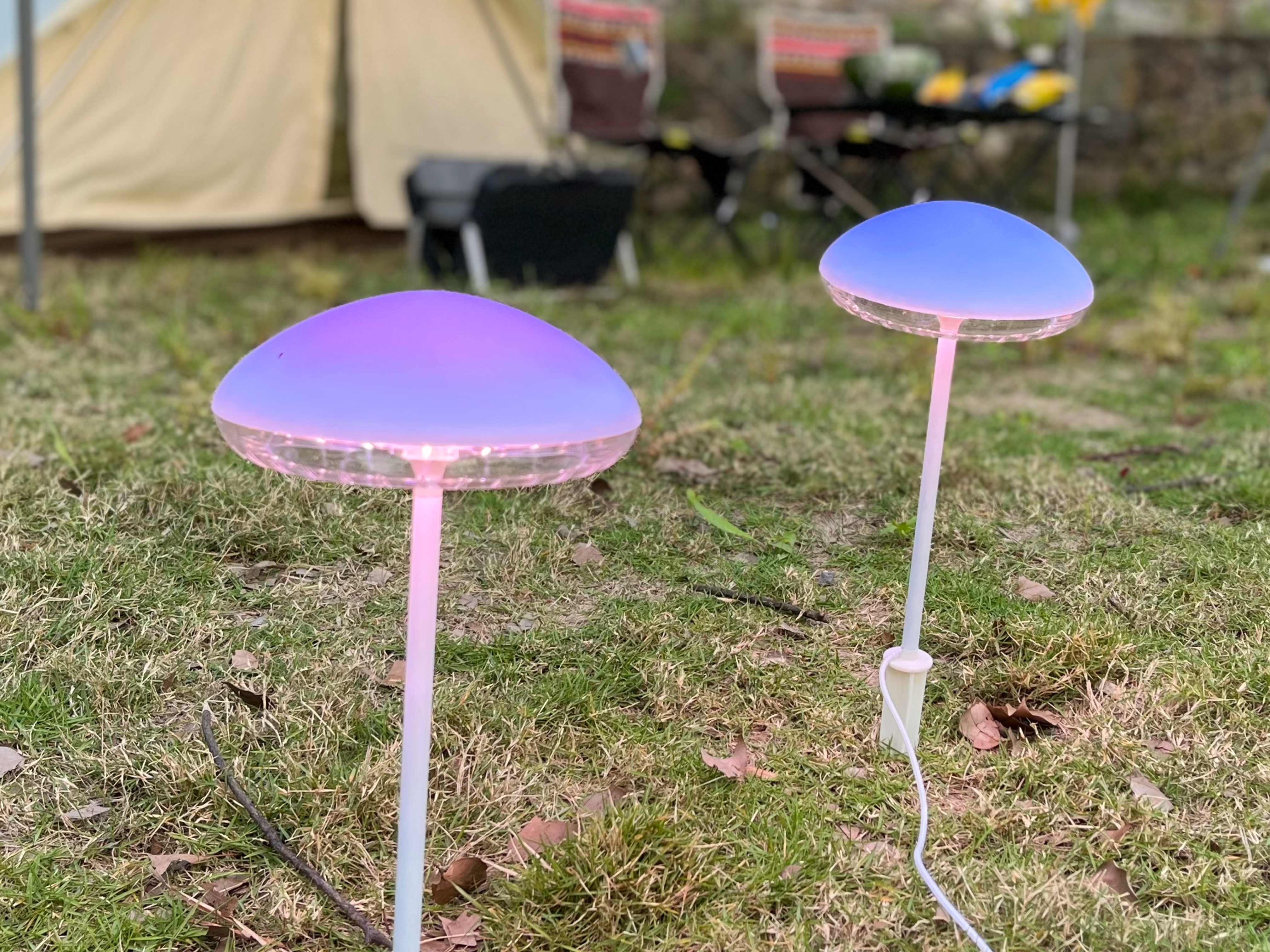 Plant growth lamp，outdoor light，camping，atmosphere，indoor，lighting，Home，jellyfish，