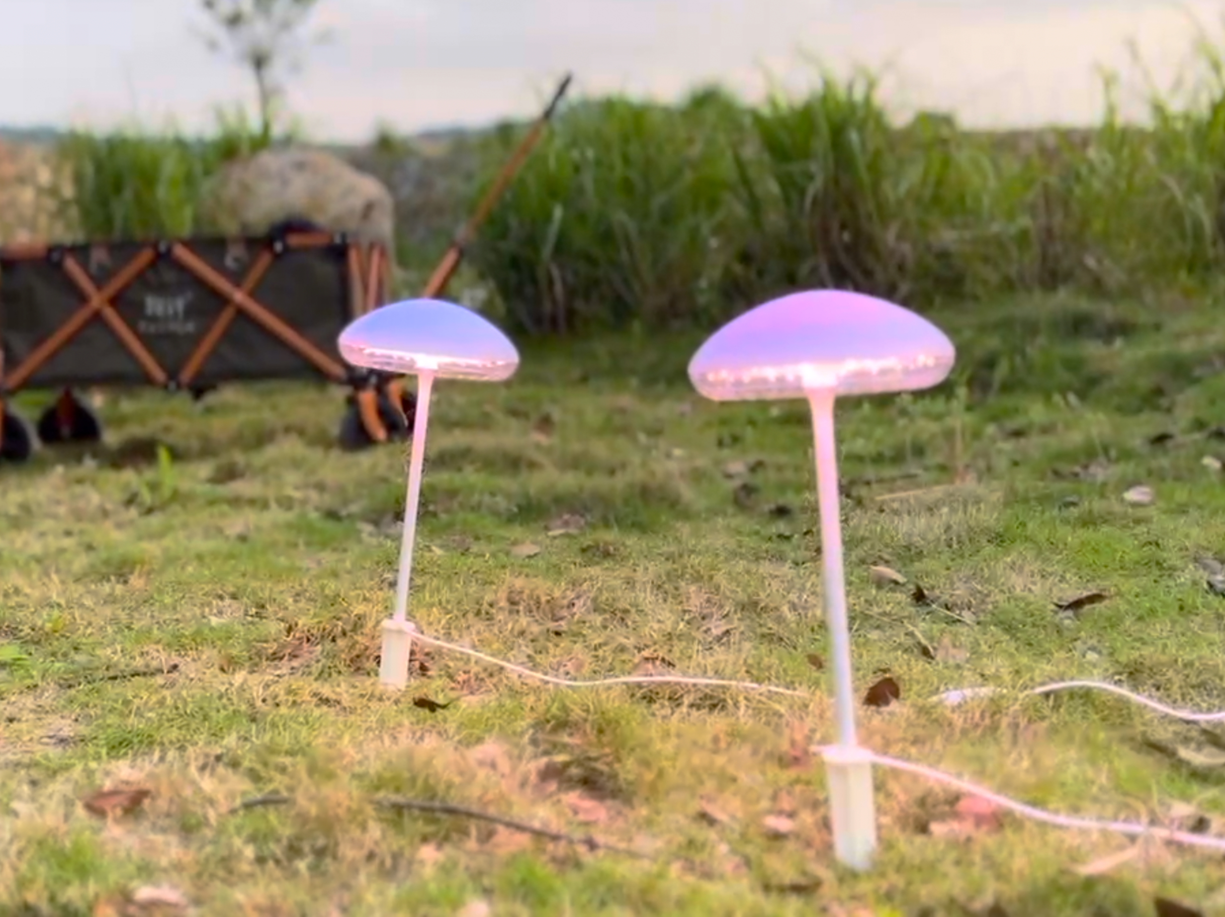 Plant growth lamp，outdoor light，camping，atmosphere，indoor，lighting，Home，jellyfish，