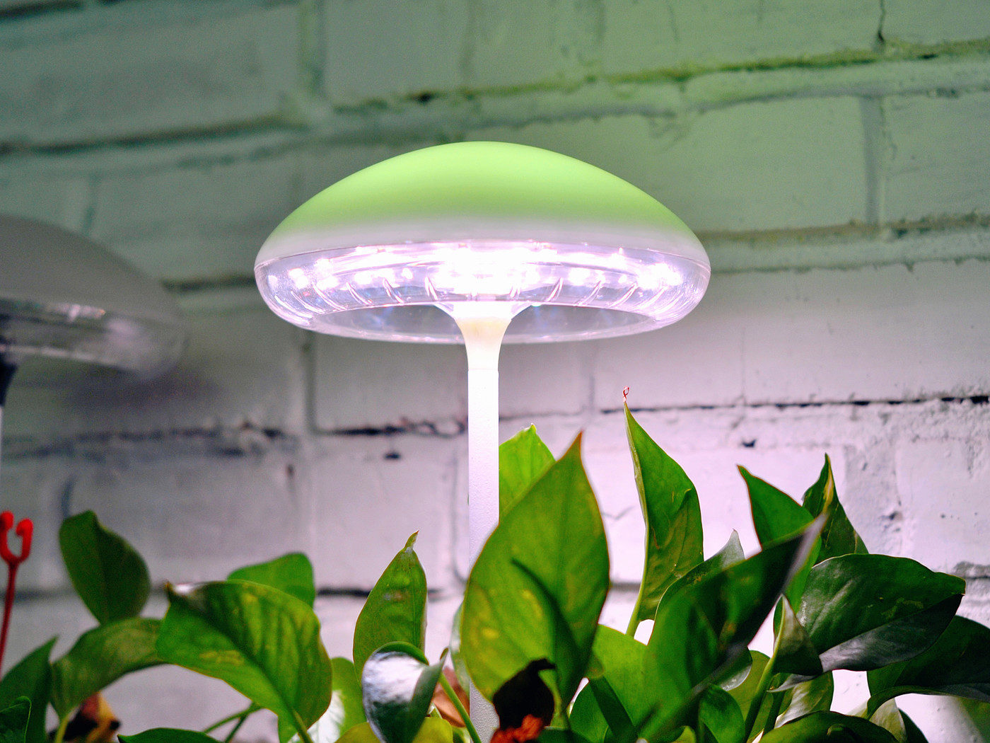 Plant growth lamp，outdoor light，camping，atmosphere，indoor，lighting，Home，jellyfish，