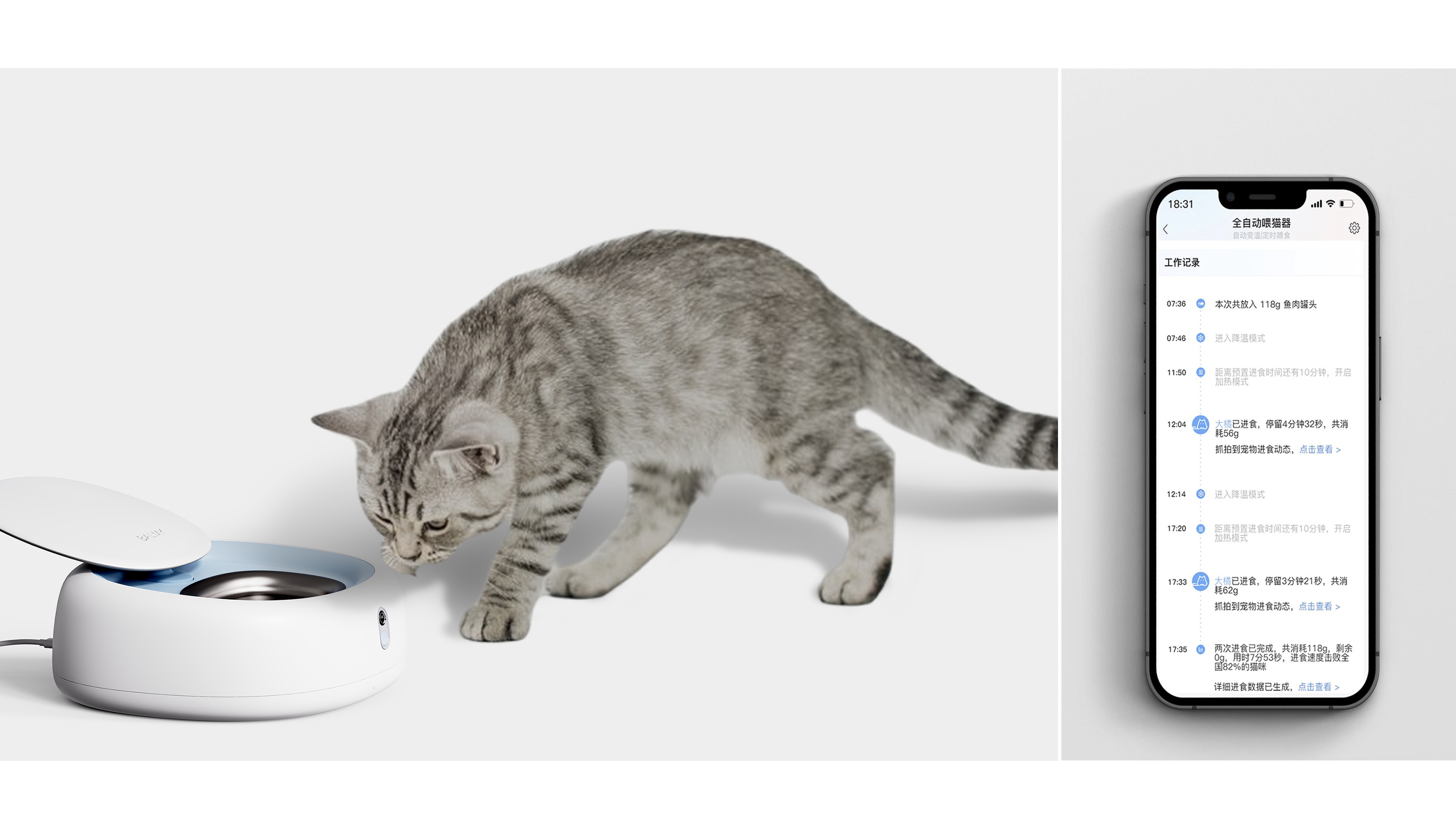 Pet supplies, concept design，