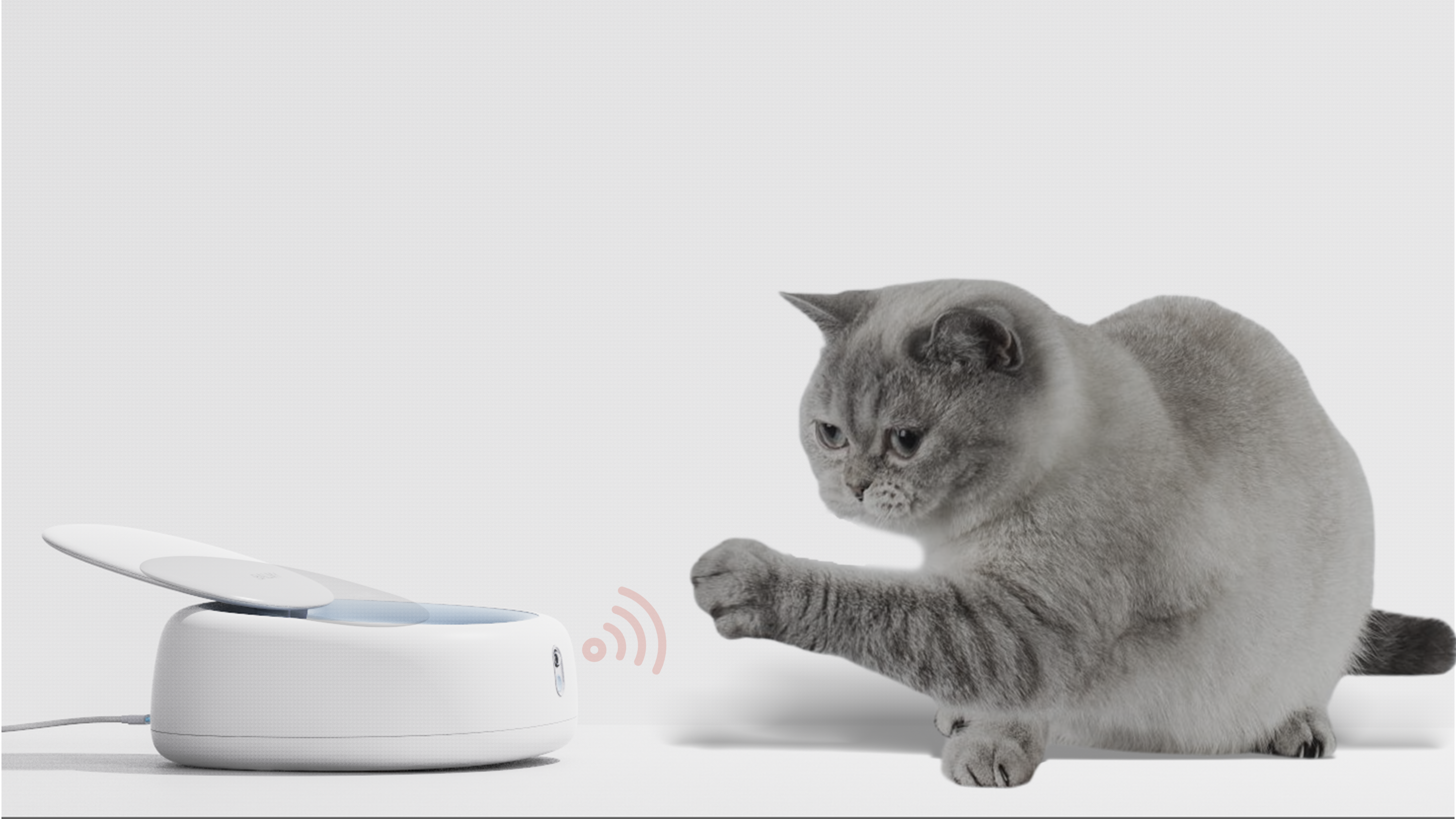 Pet supplies, concept design，