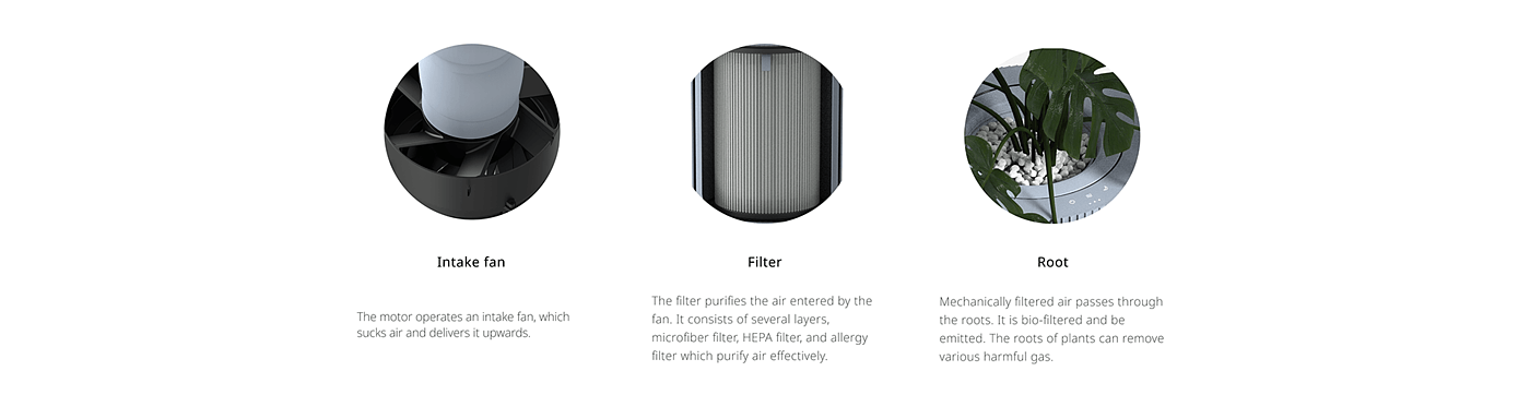 Vekoti，空气净化器，植物定制，双重空气净化，