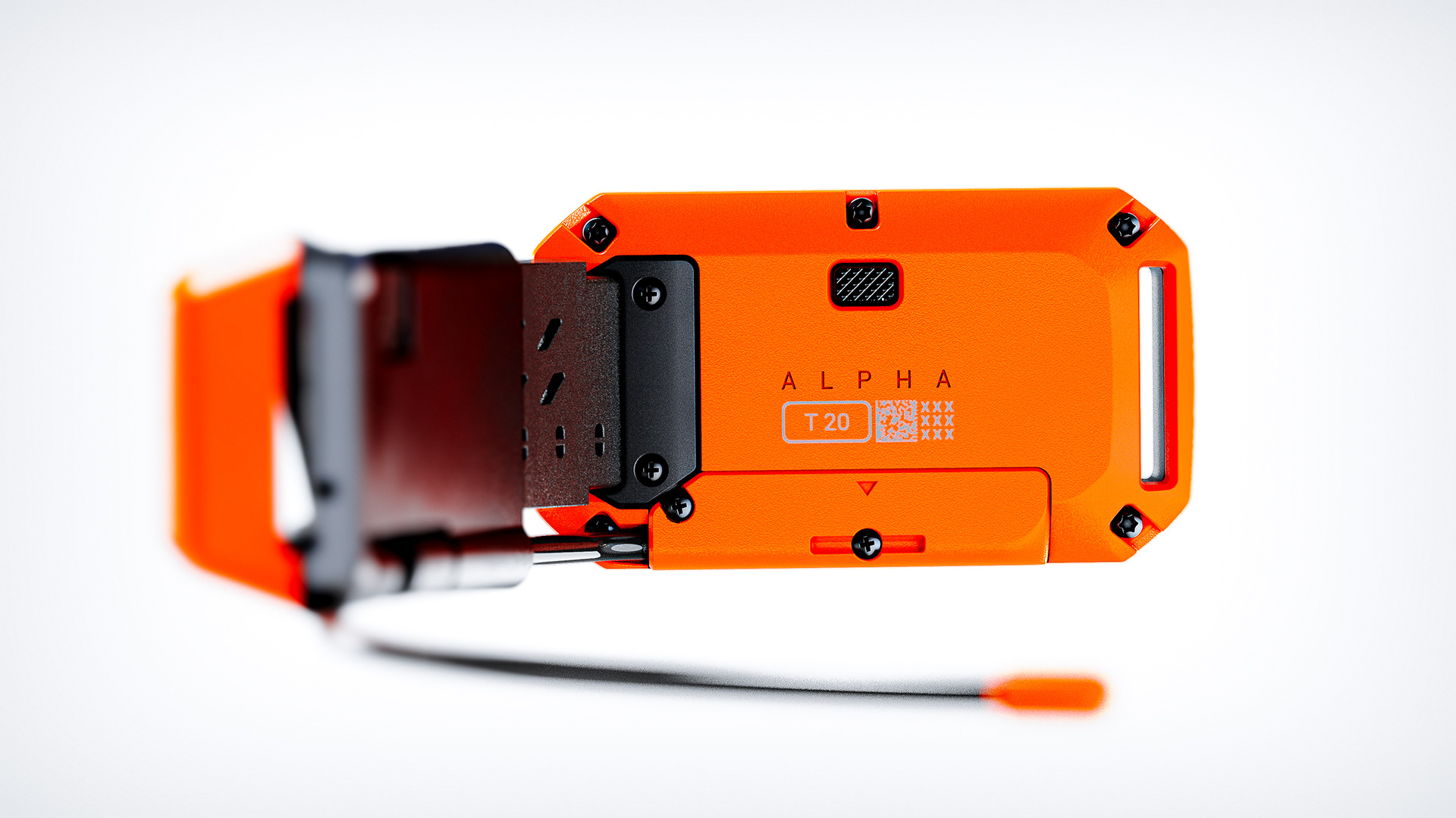 a collar for a horse，dog，train，location，