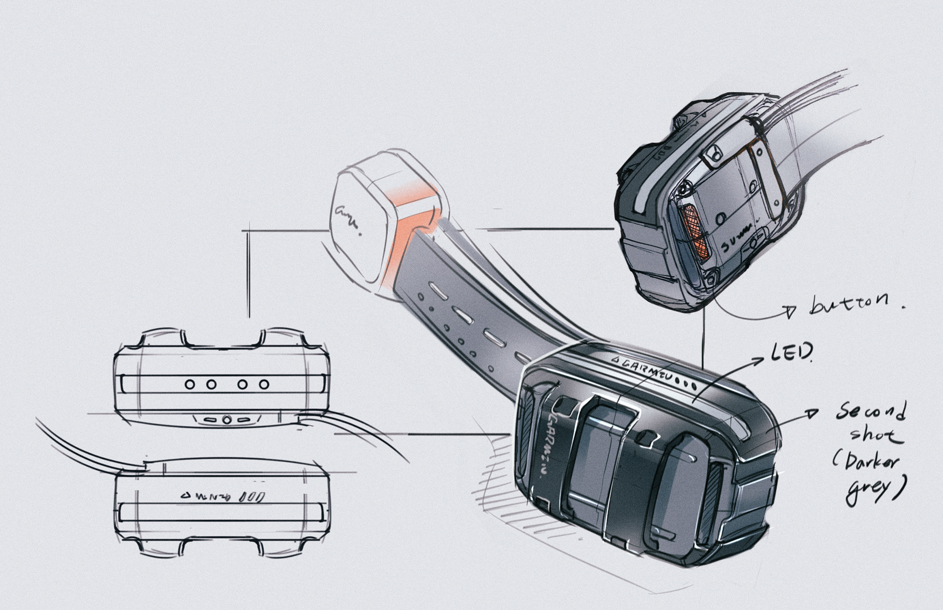 a collar for a horse，dog，train，location，