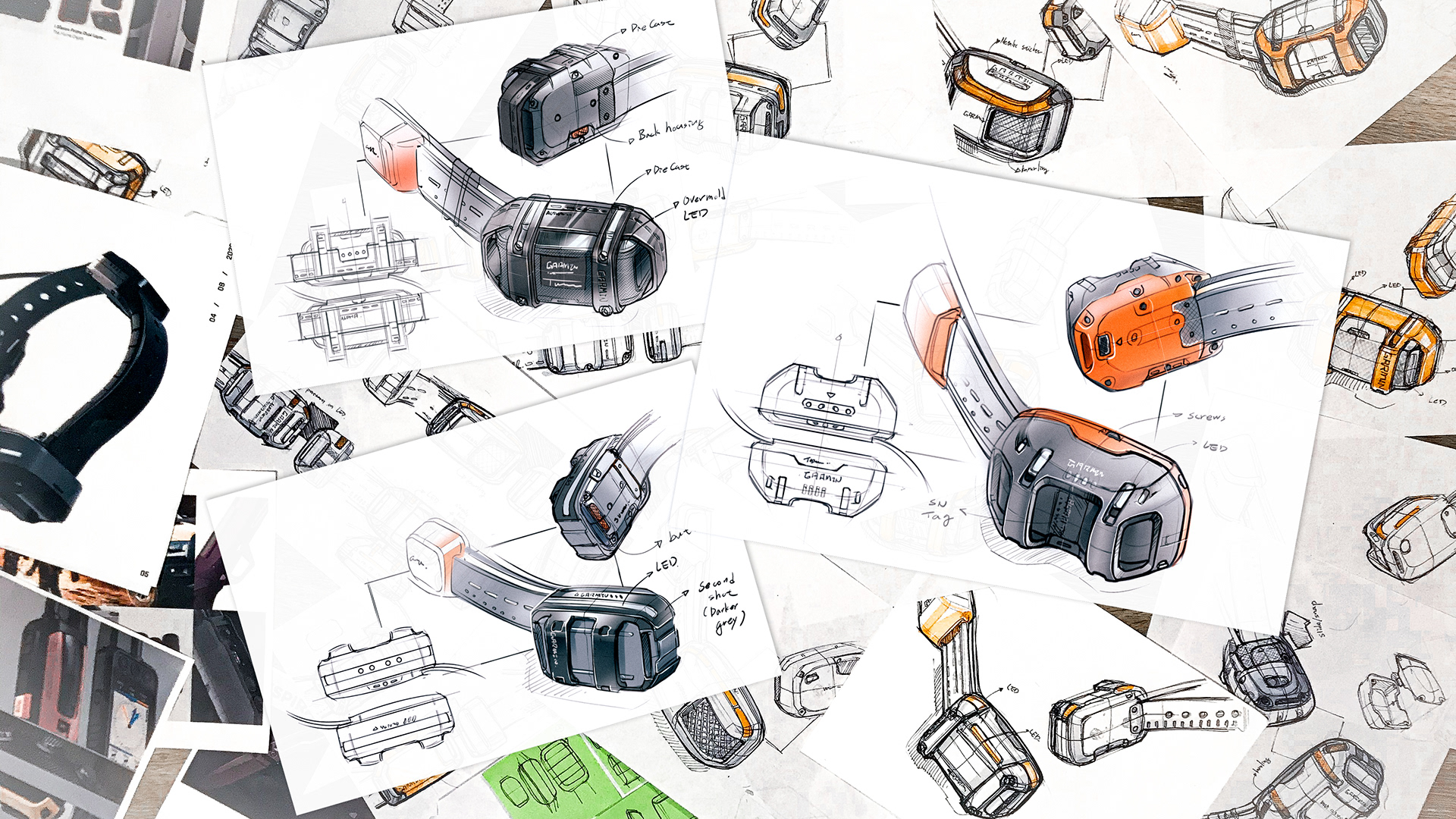 a collar for a horse，dog，train，location，