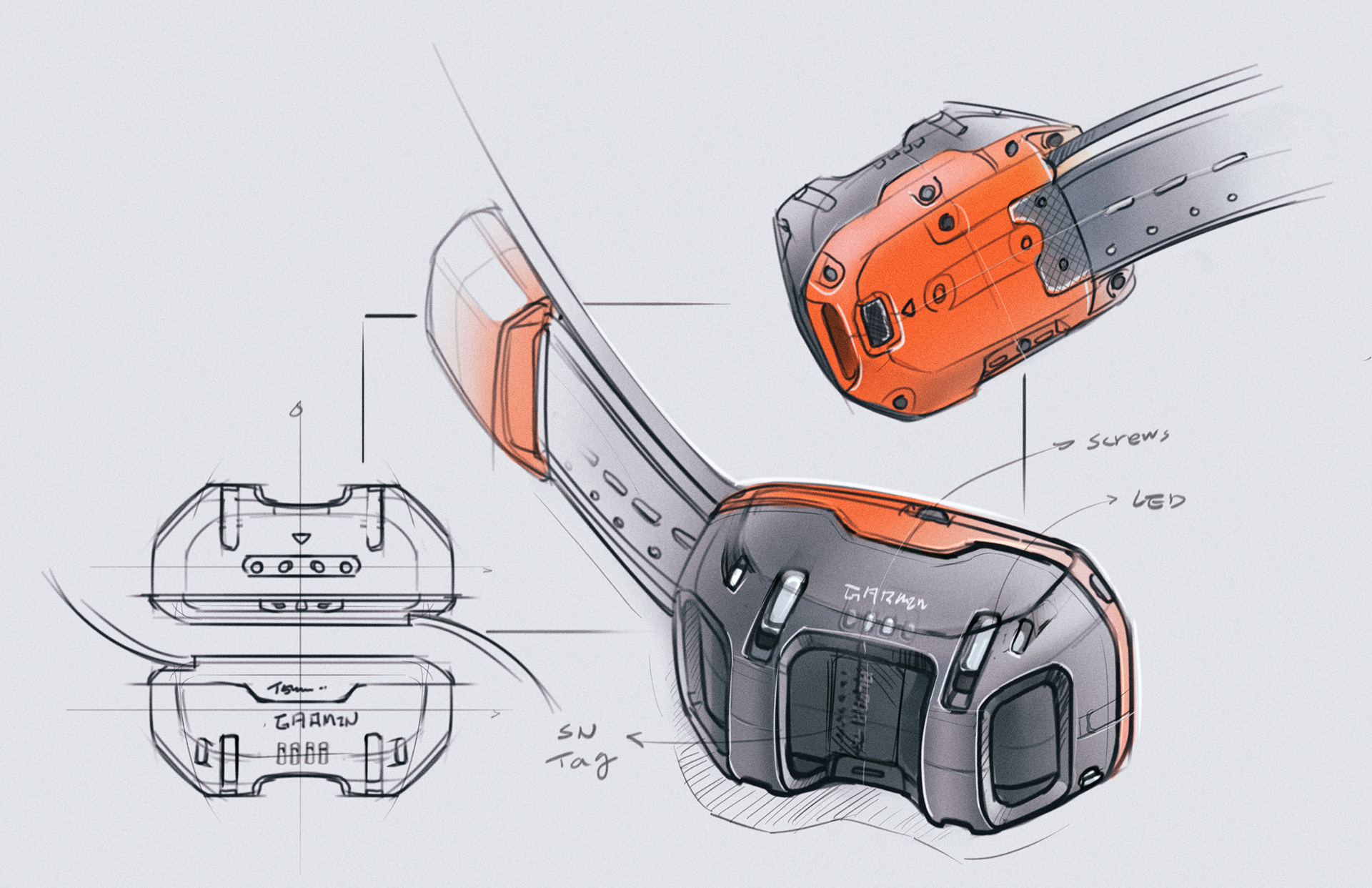 a collar for a horse，dog，train，location，