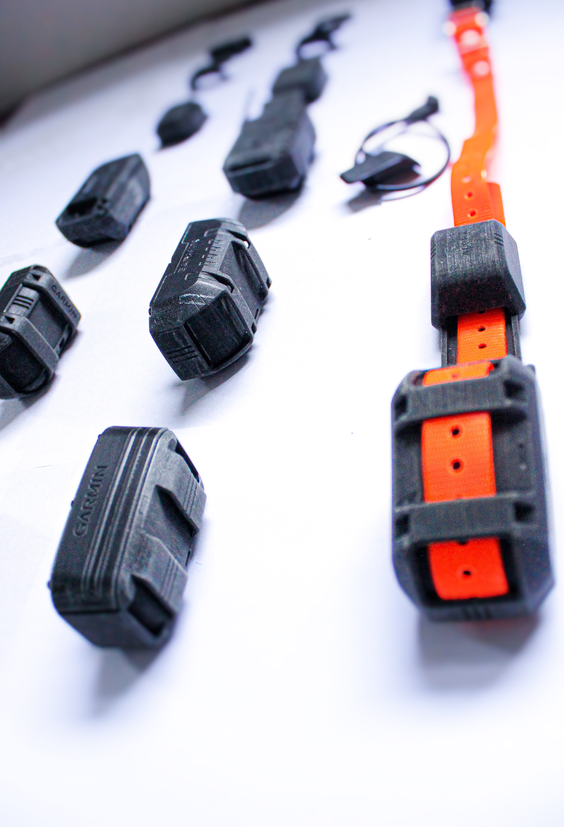 a collar for a horse，dog，train，location，