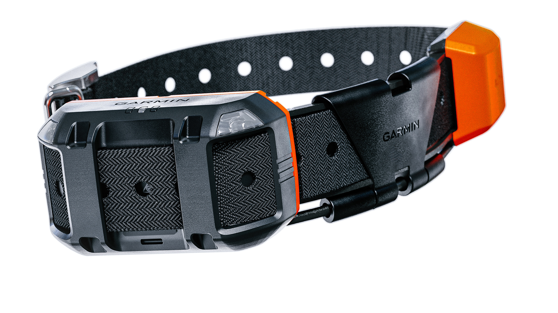 a collar for a horse，dog，train，location，