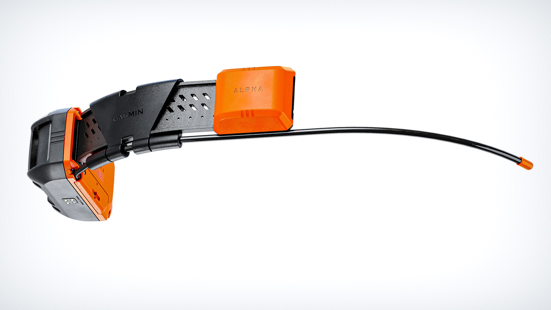 a collar for a horse，dog，train，location，