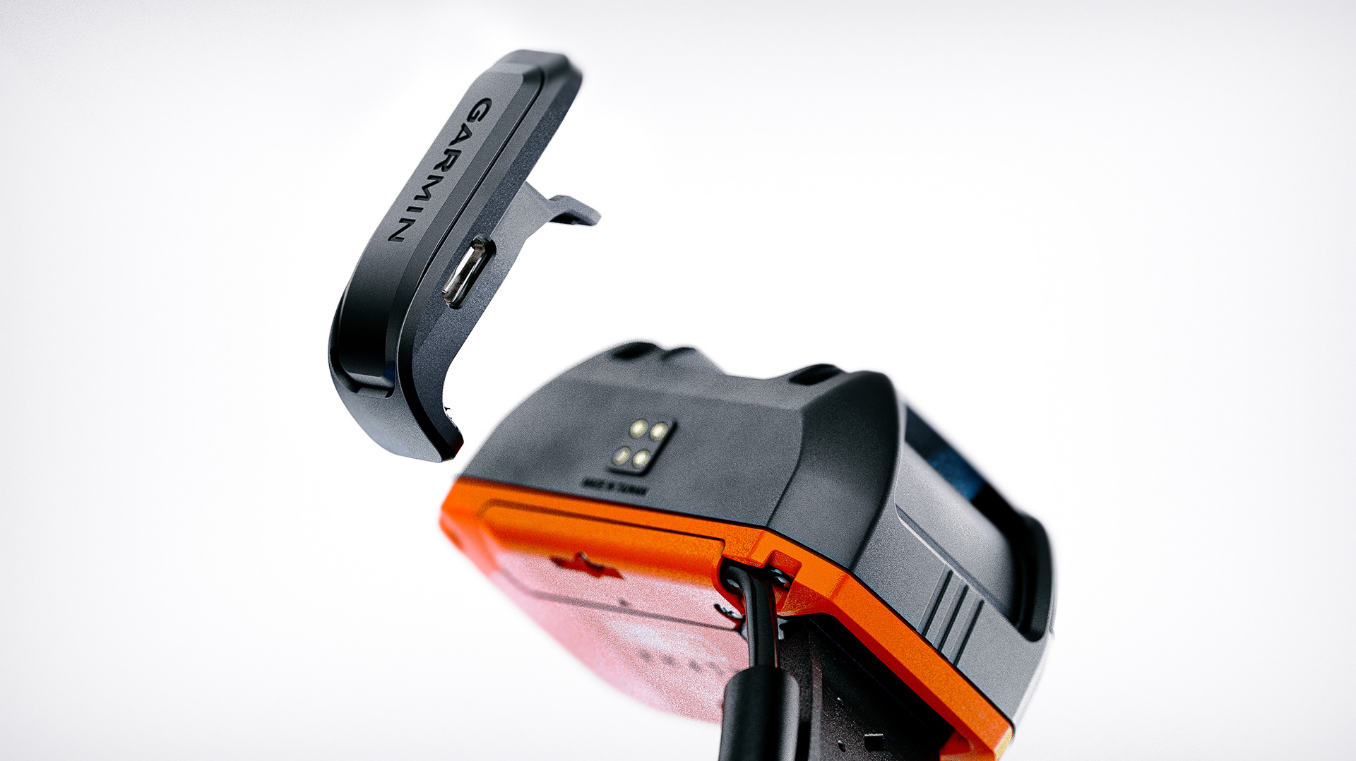 a collar for a horse，dog，train，location，