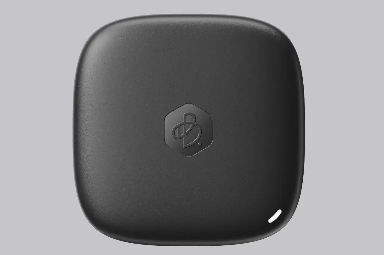 Synology，BeeDrive，Data Storage Specialist，Digital，