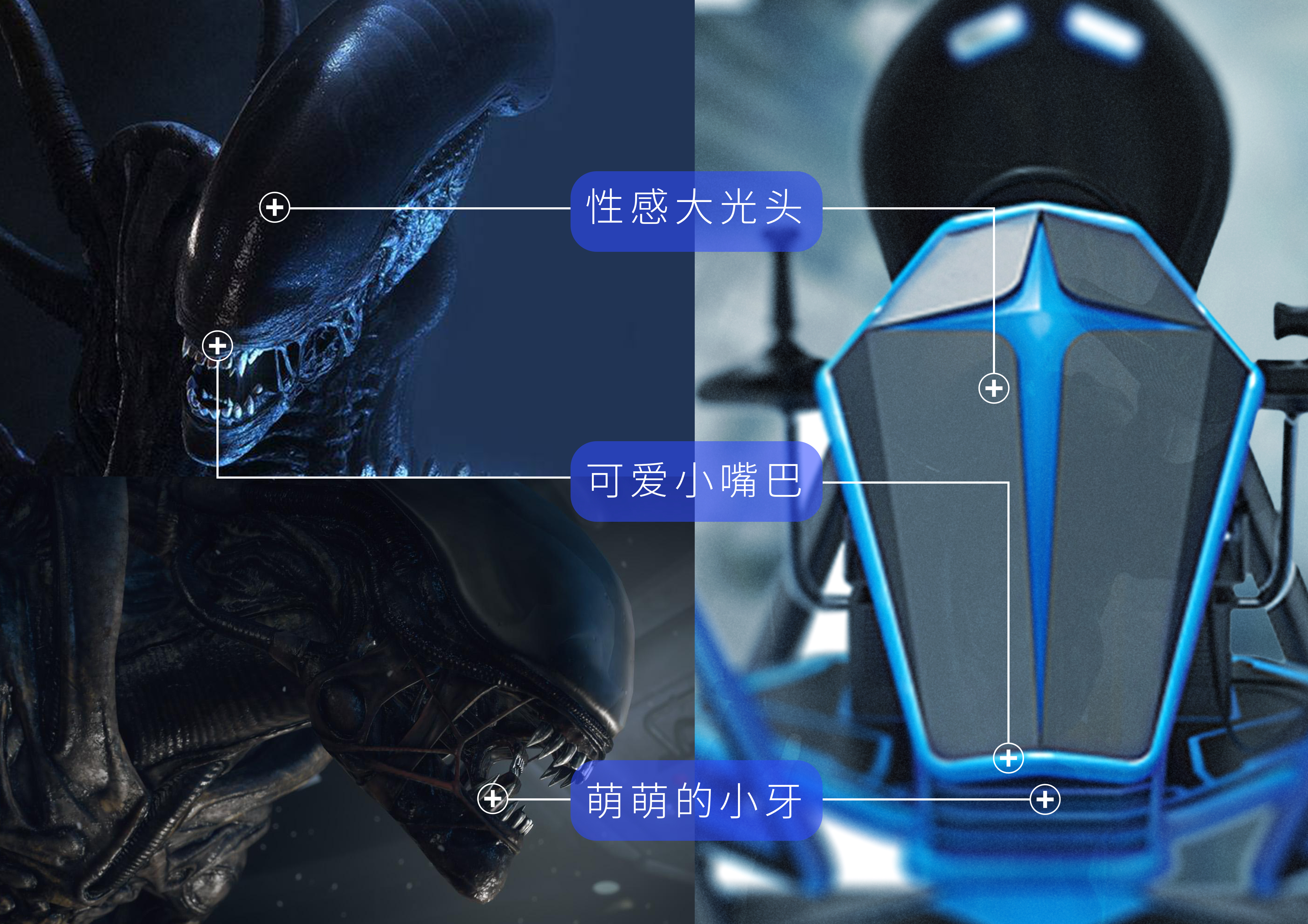 sporting facilities，Number one player，Experience platform，game，vr，