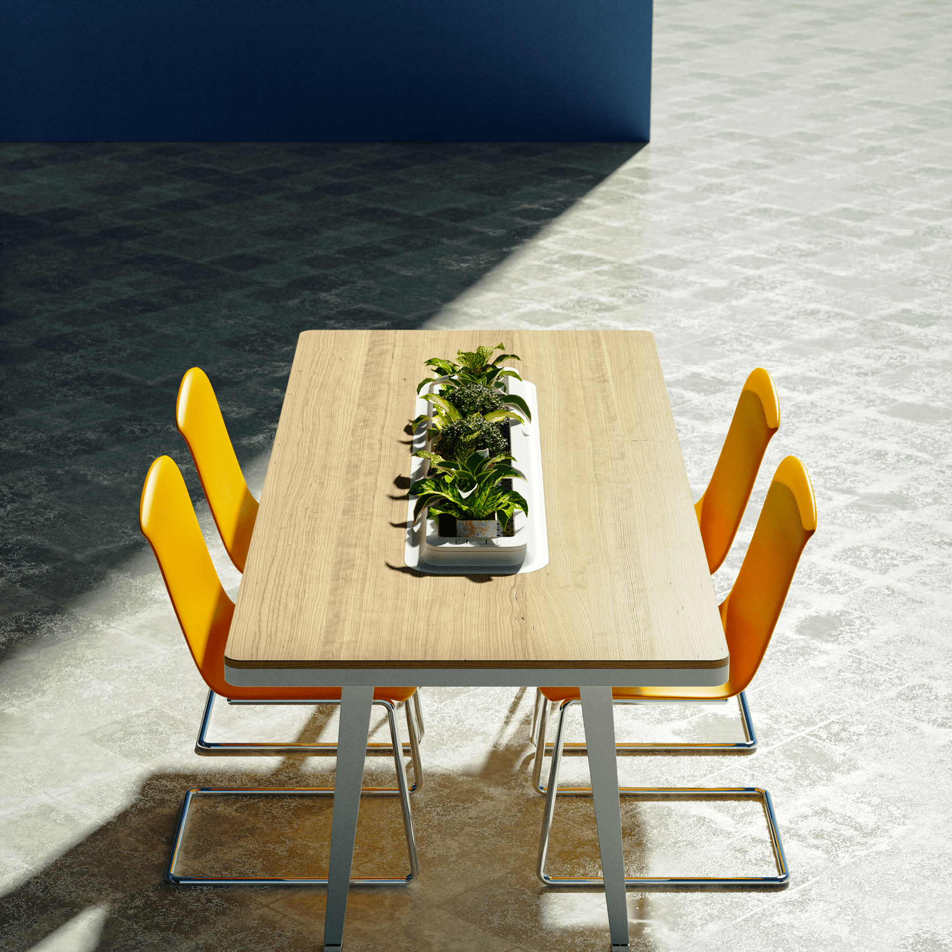 hoya，air cleaner，