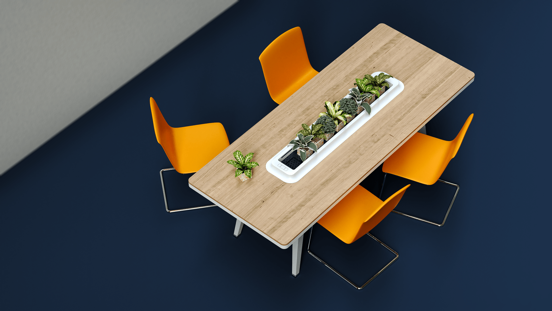 hoya，air cleaner，