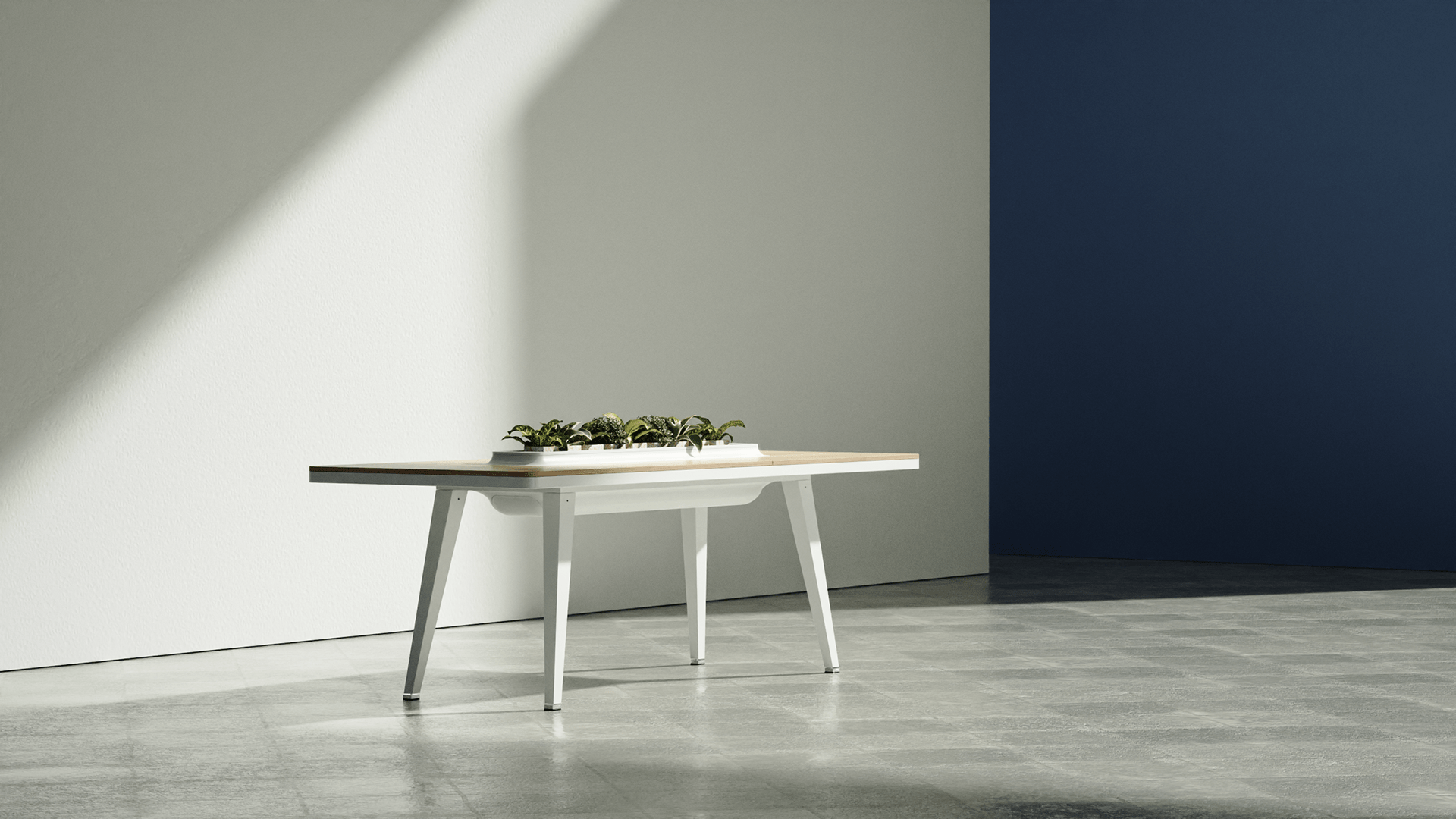 hoya，air cleaner，