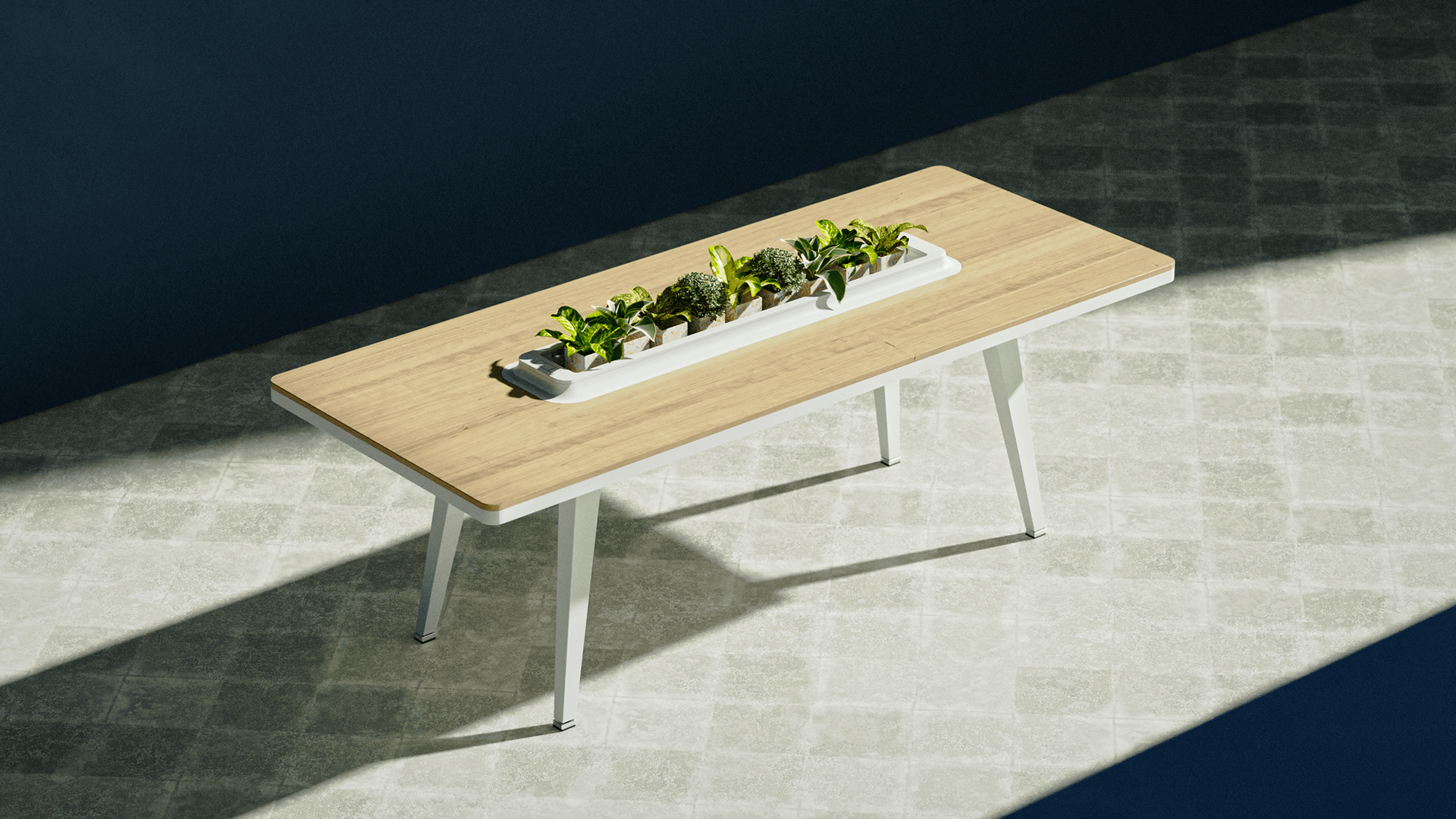 hoya，air cleaner，