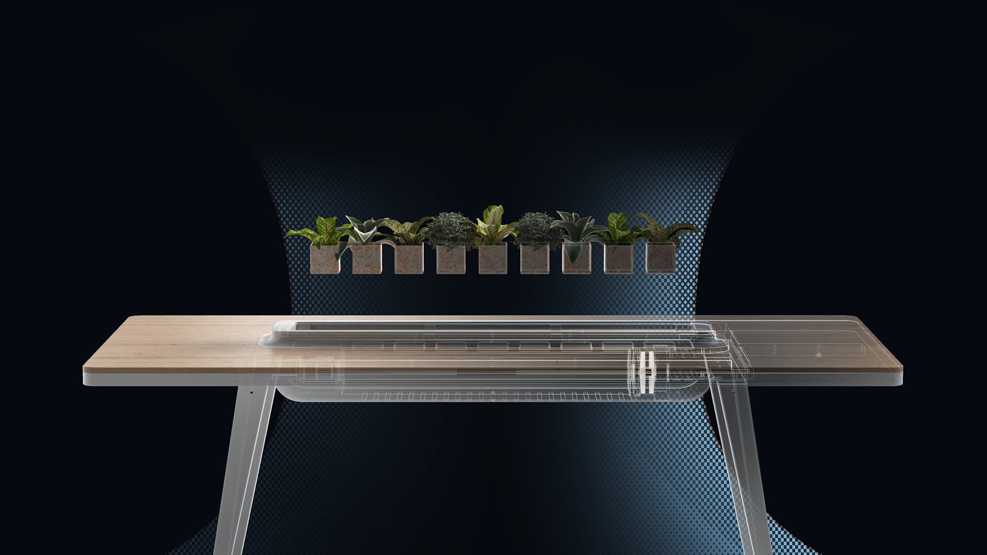 hoya，air cleaner，