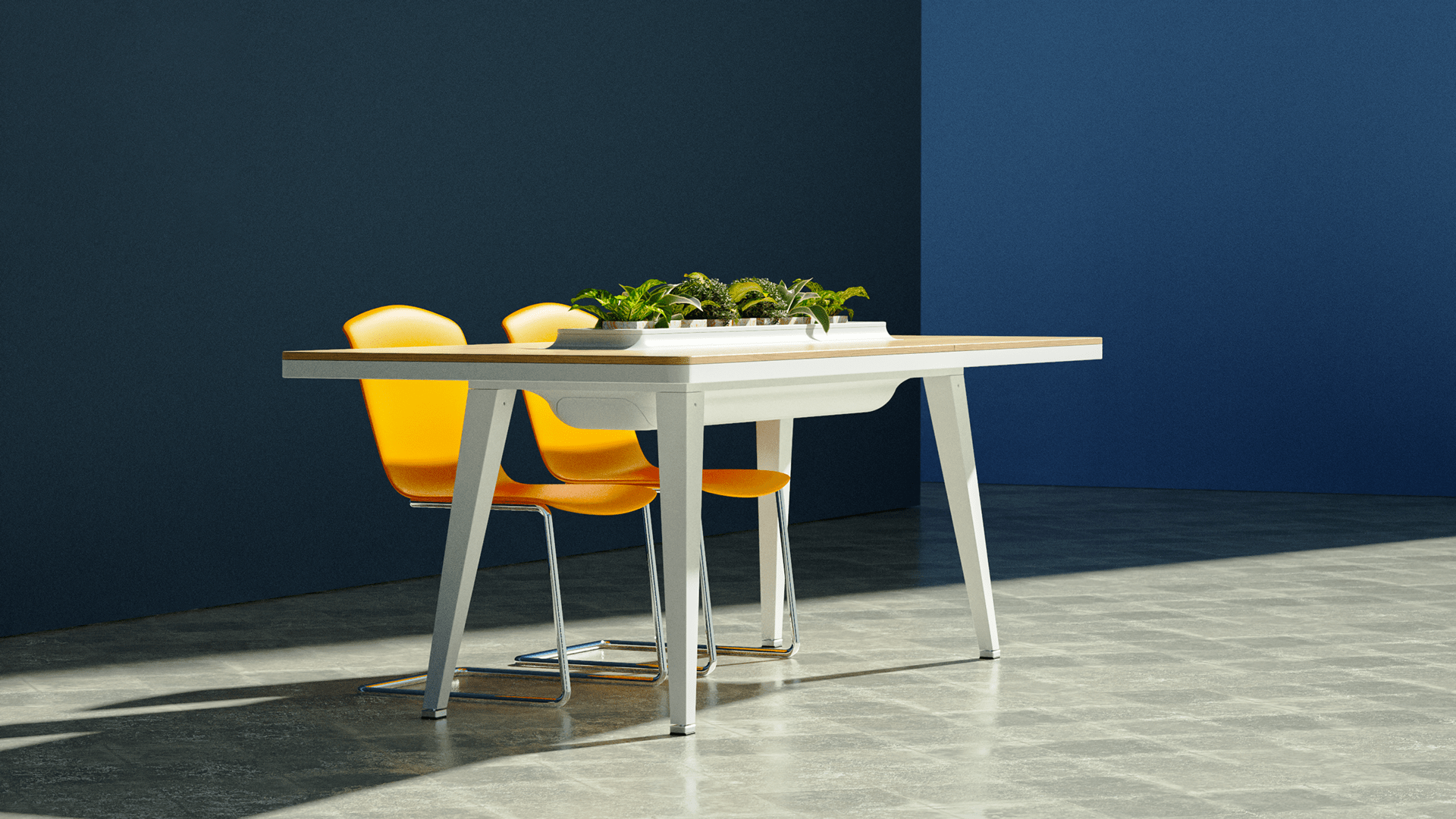 hoya，air cleaner，