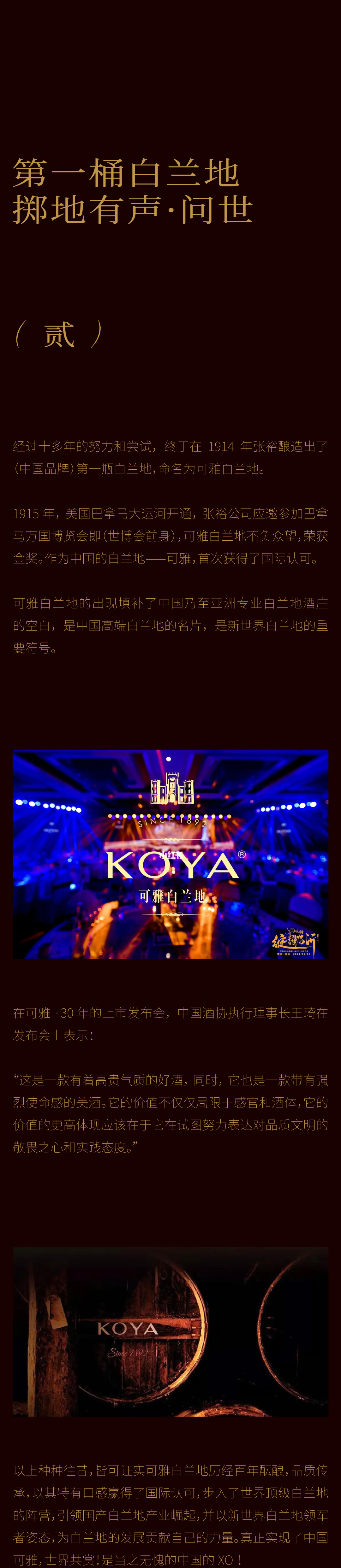 packing design，Brand design，Bottle design，Wenchuang Wine Design，