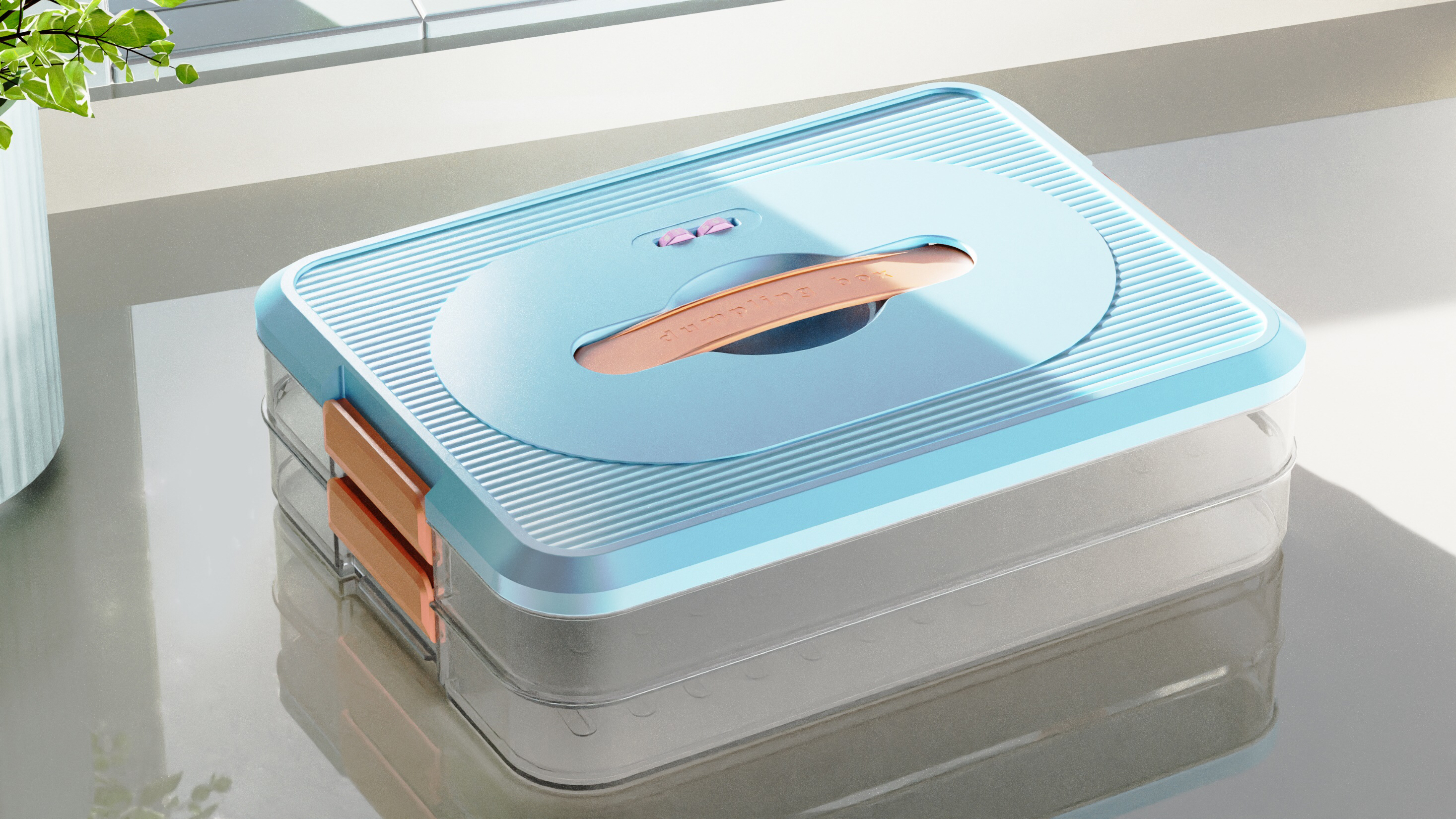 Dumpling Box，Quick-frozen dumpling box，Quick Frozen Chaos Box，Dumpling storage box，storage box，Refrigerator storage box，