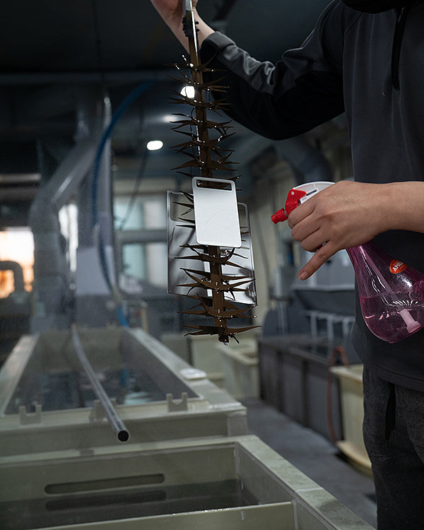 DeFrame，The Digital Framework，Digital，Electronics，