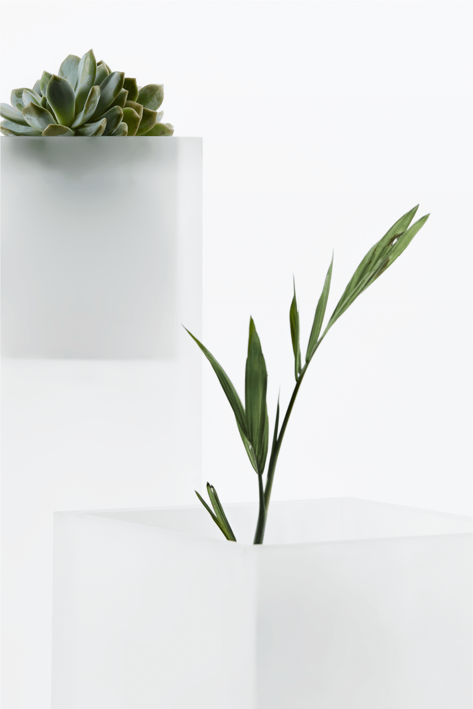 Second White，Ocean White，graphic design ，Exhibition design，